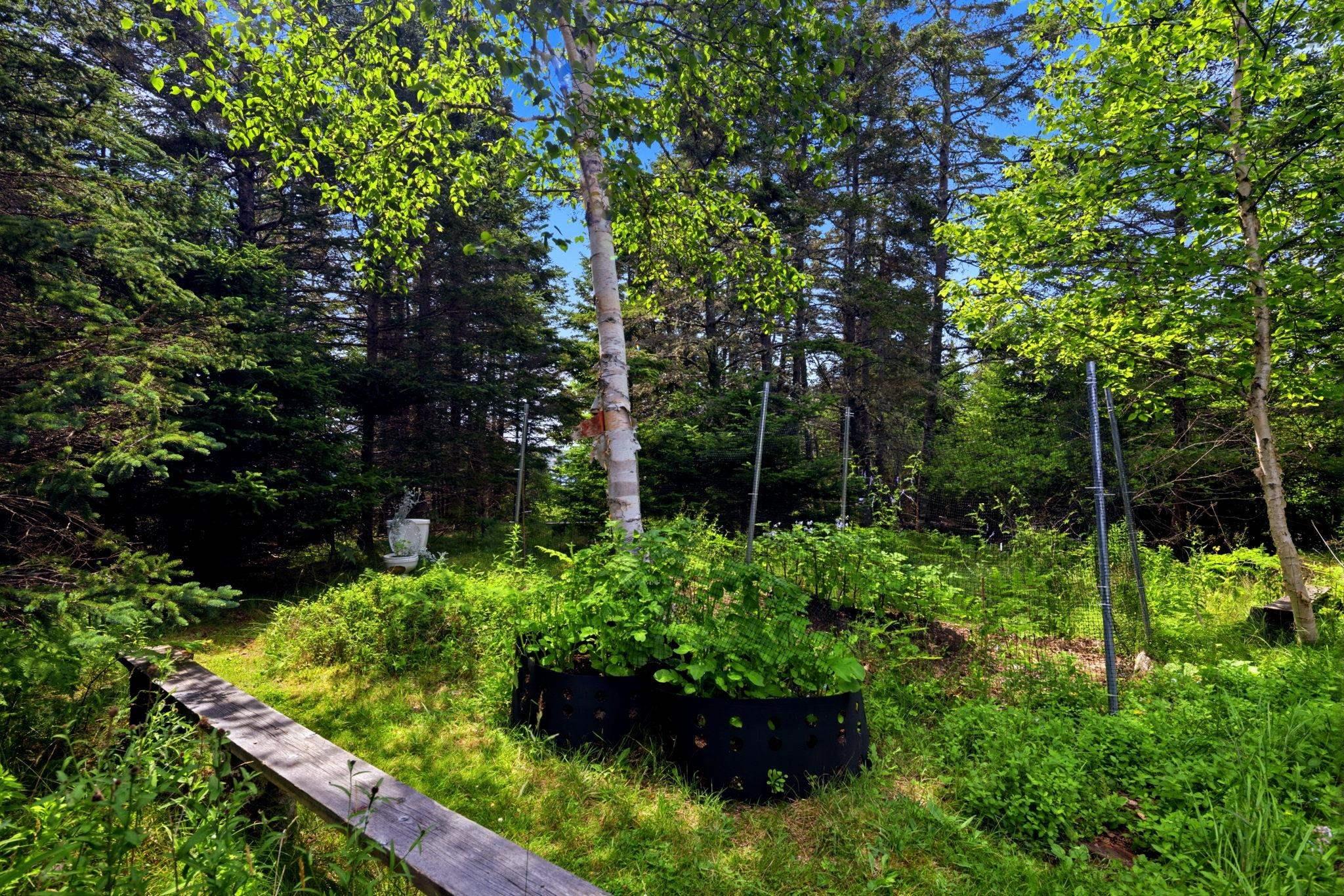 View image 30