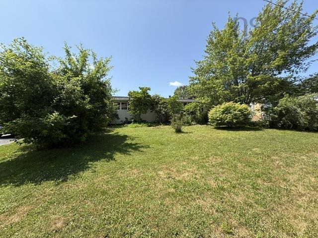 View image 4