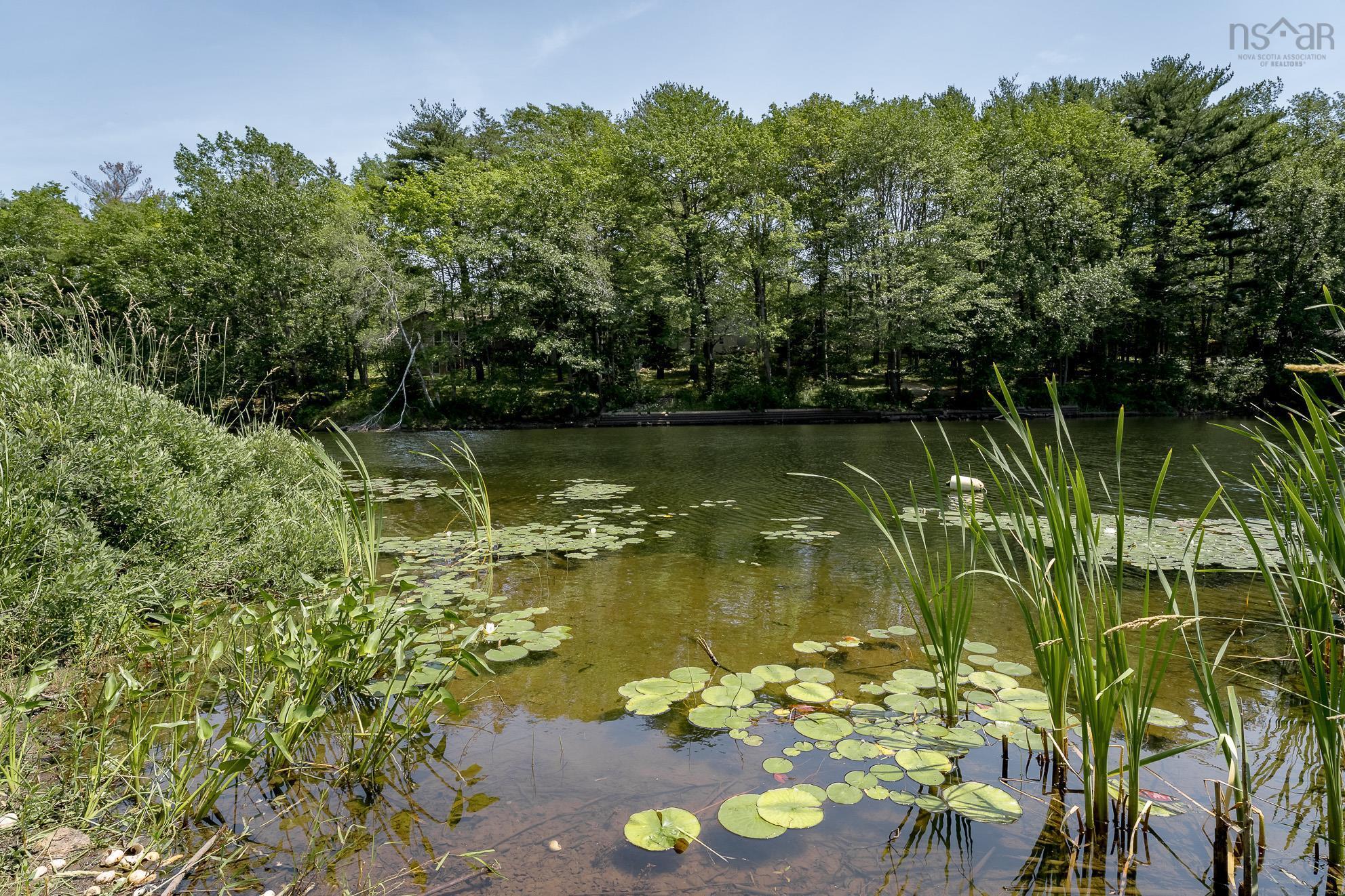 View image 10