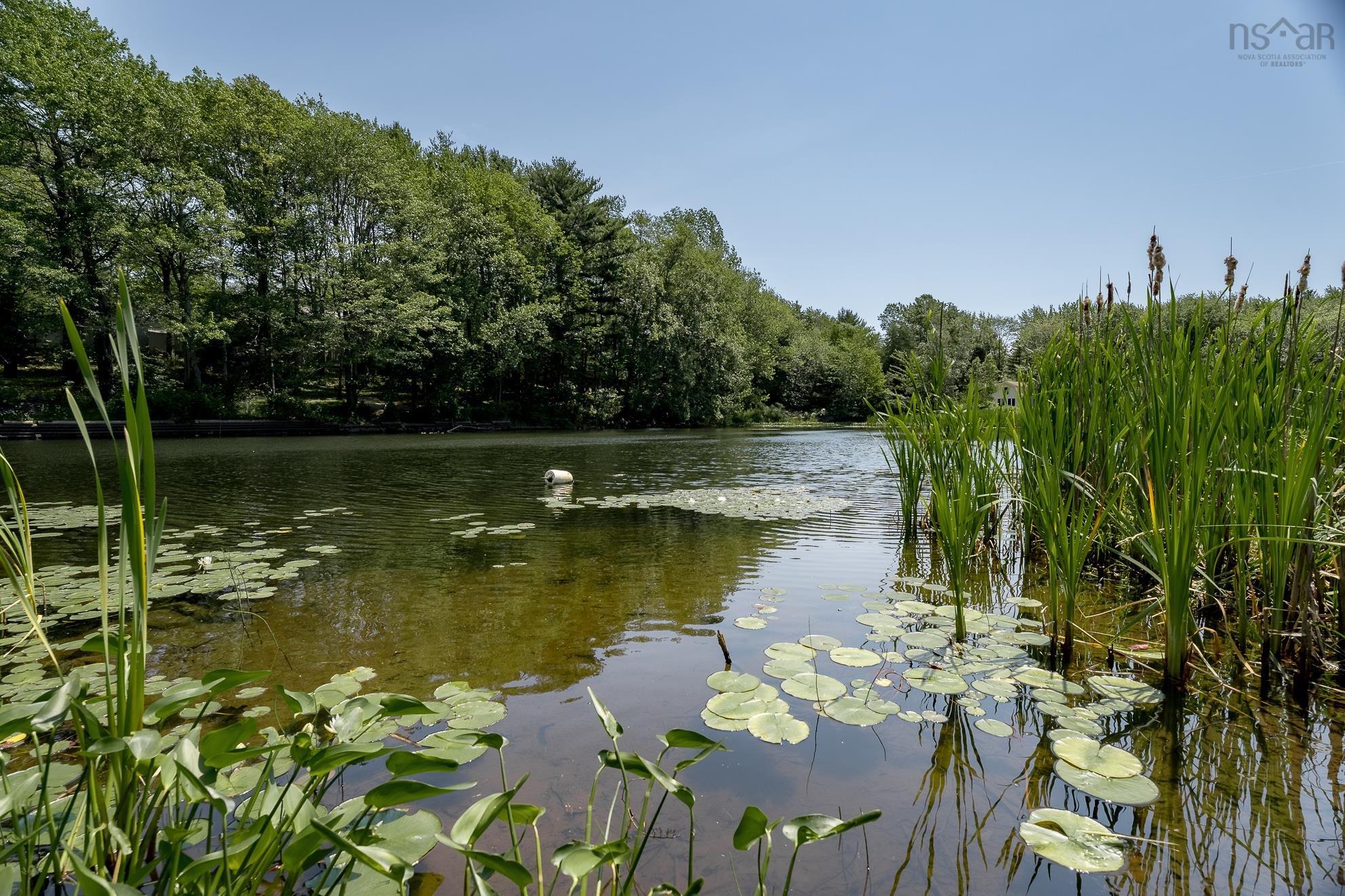 View image 9