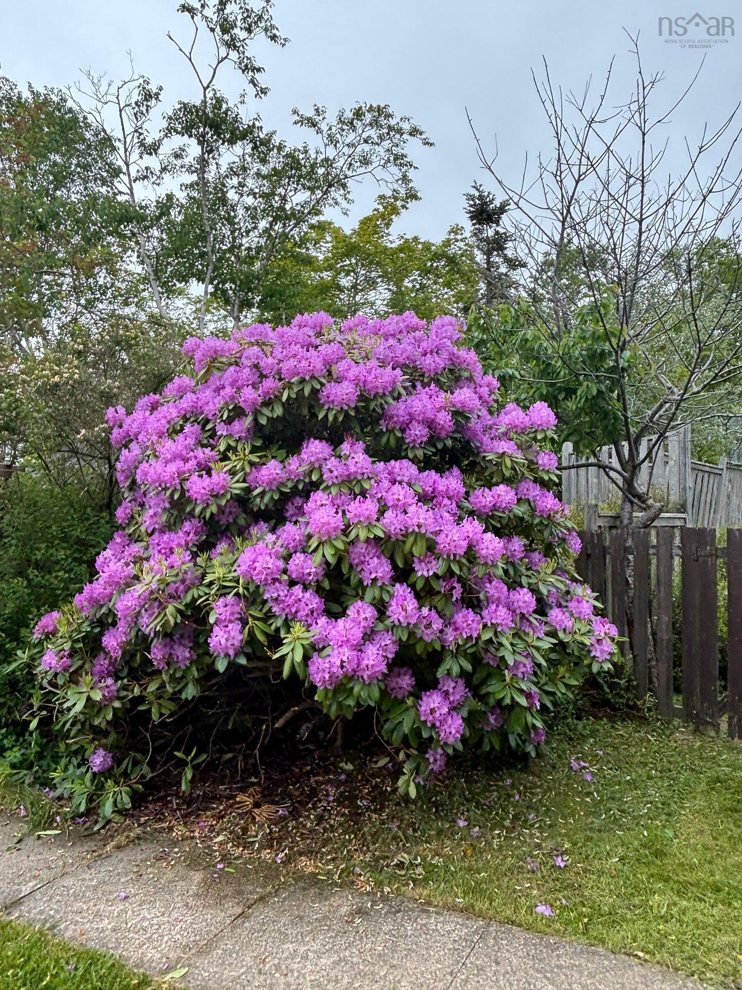 View image 18