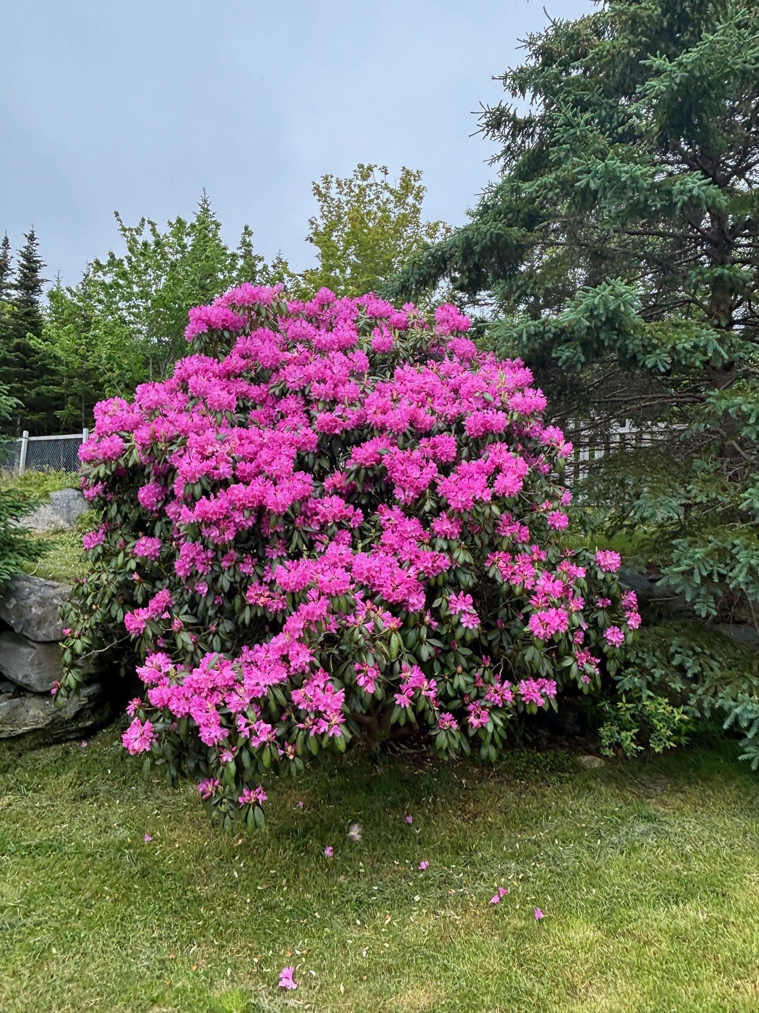 View image 20