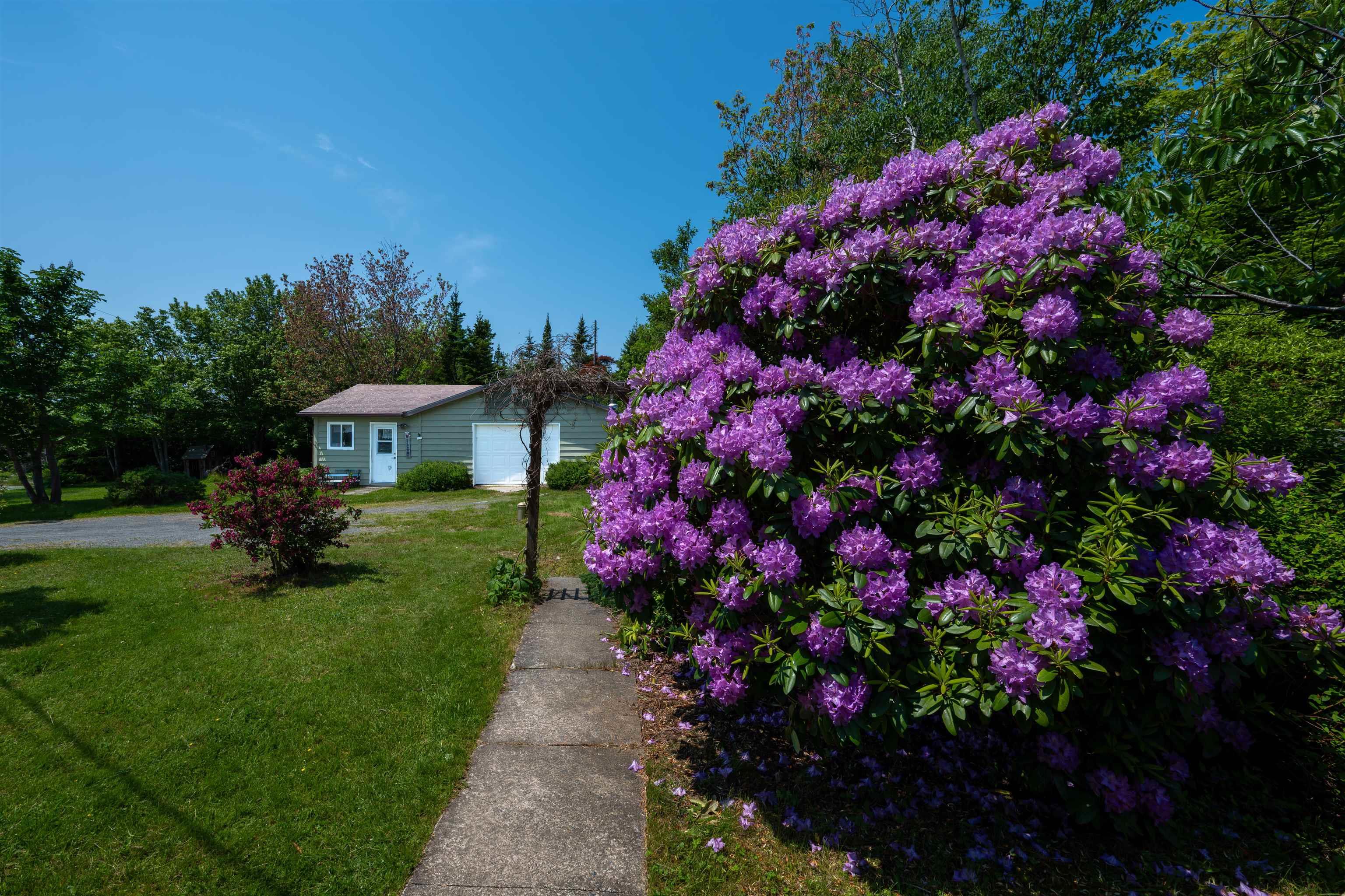View image 38