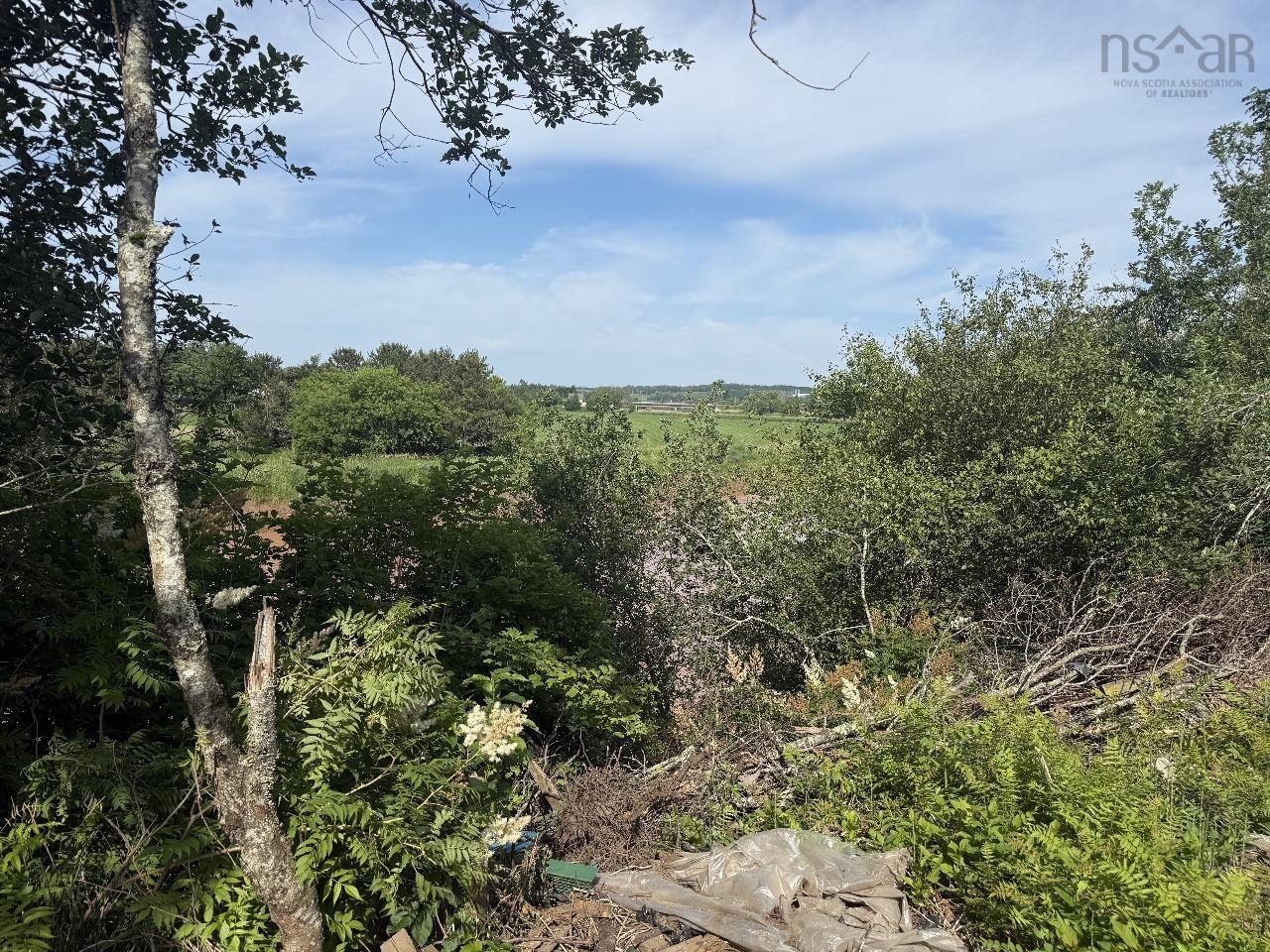 View image 5