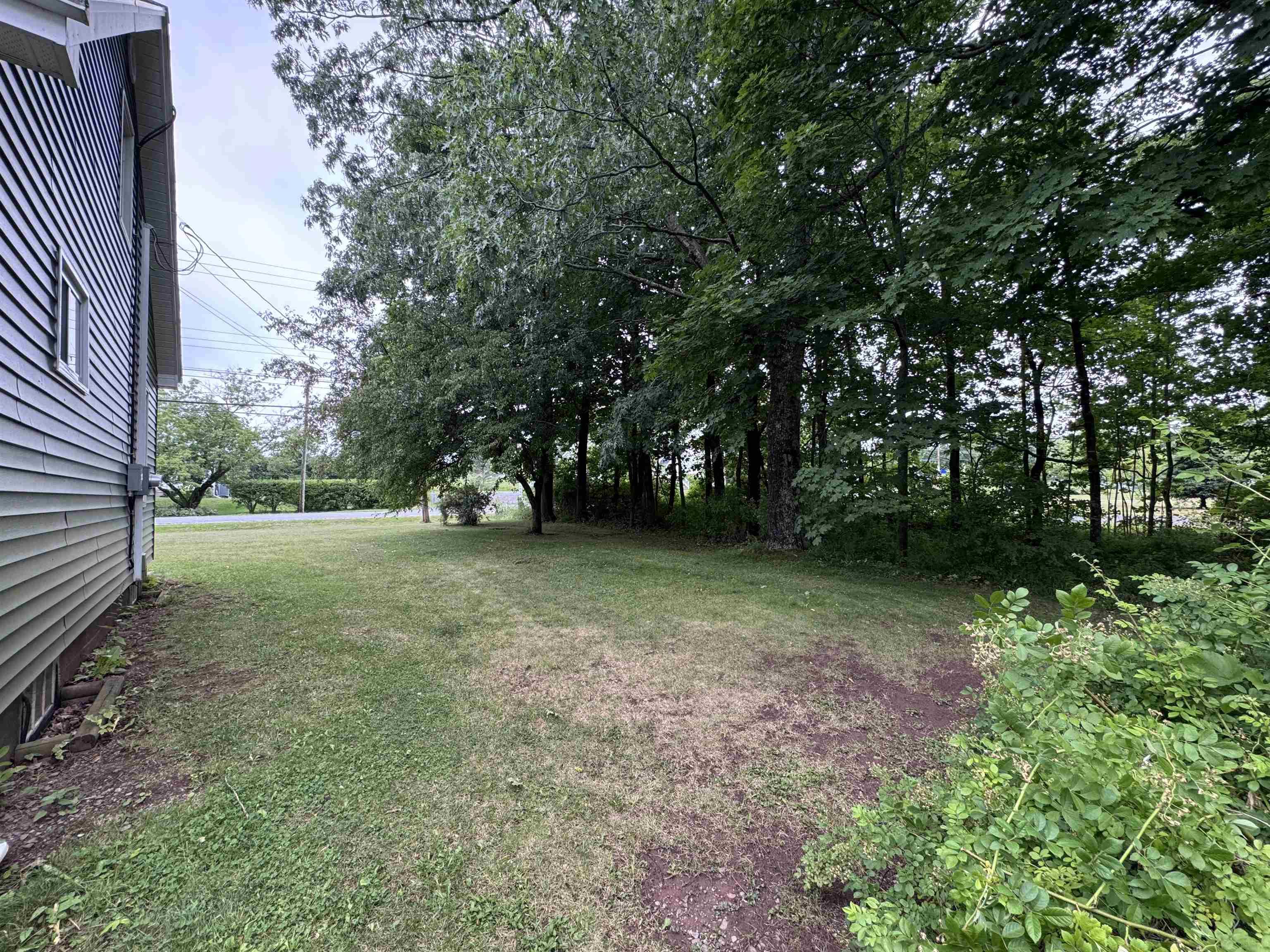View image 5