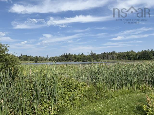 View image 41