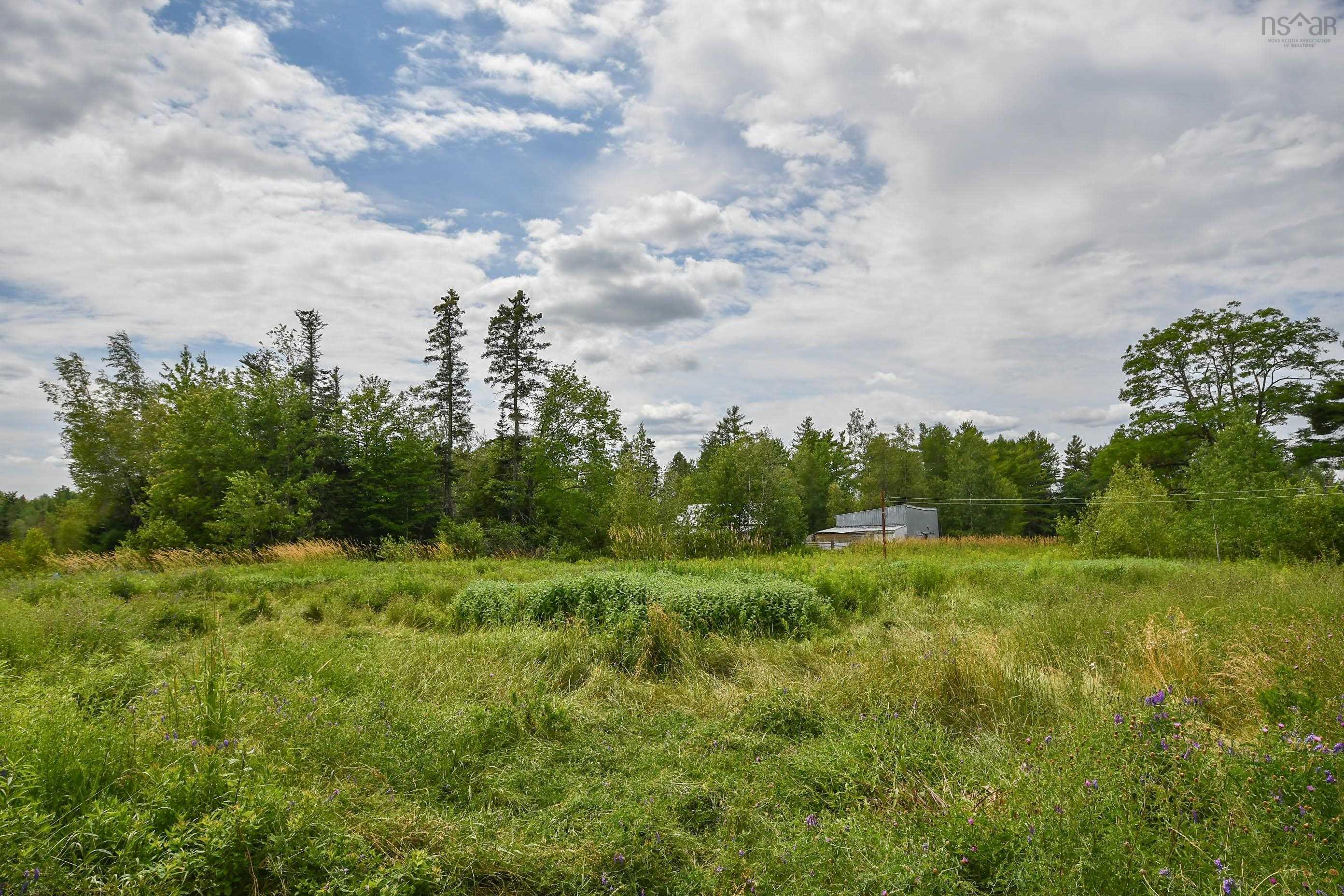 View image 37