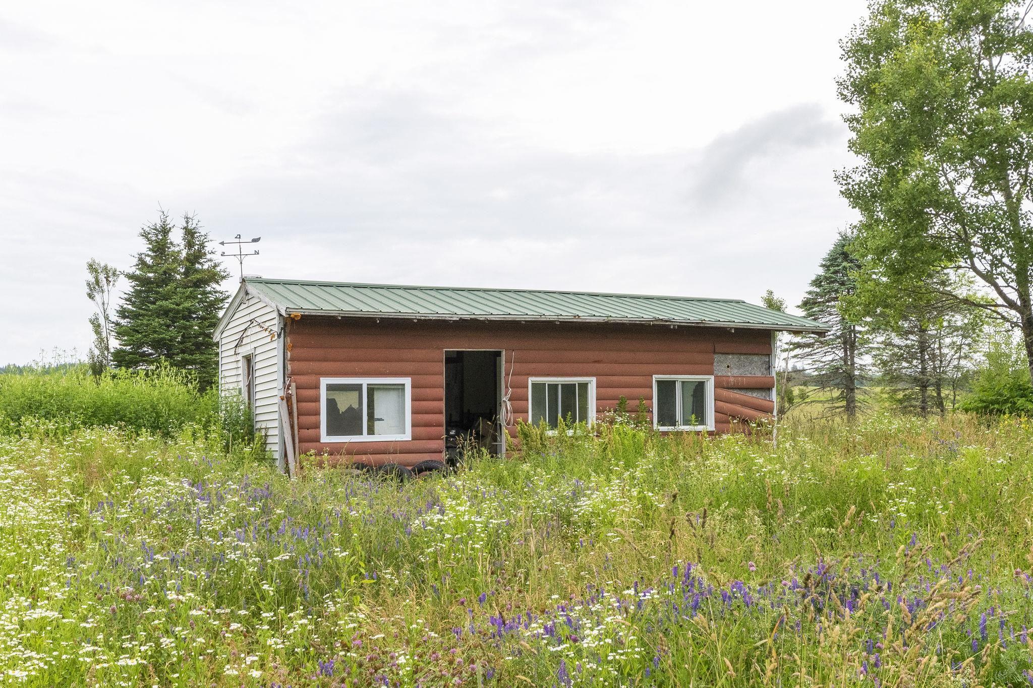 View image 11