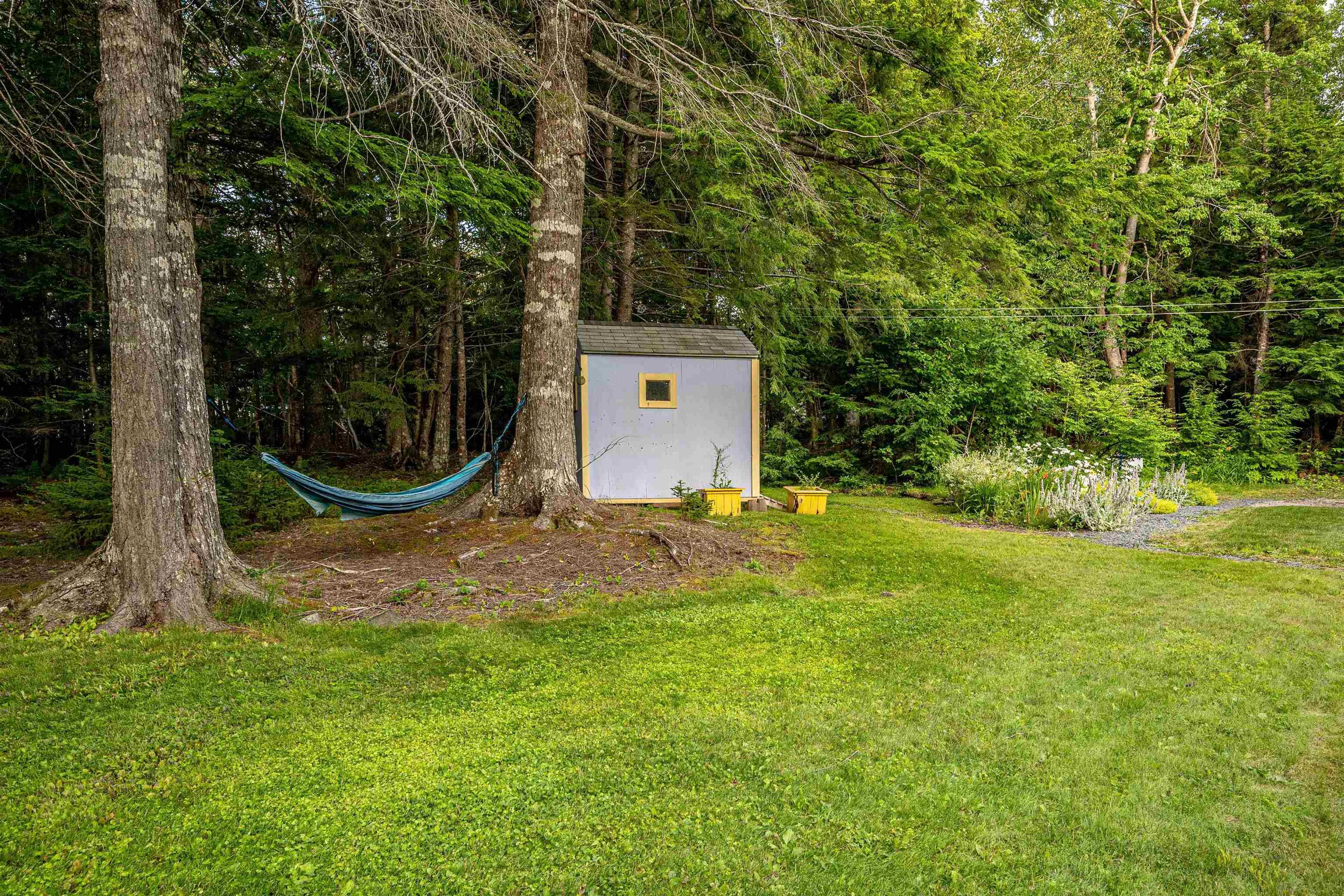 View image 41