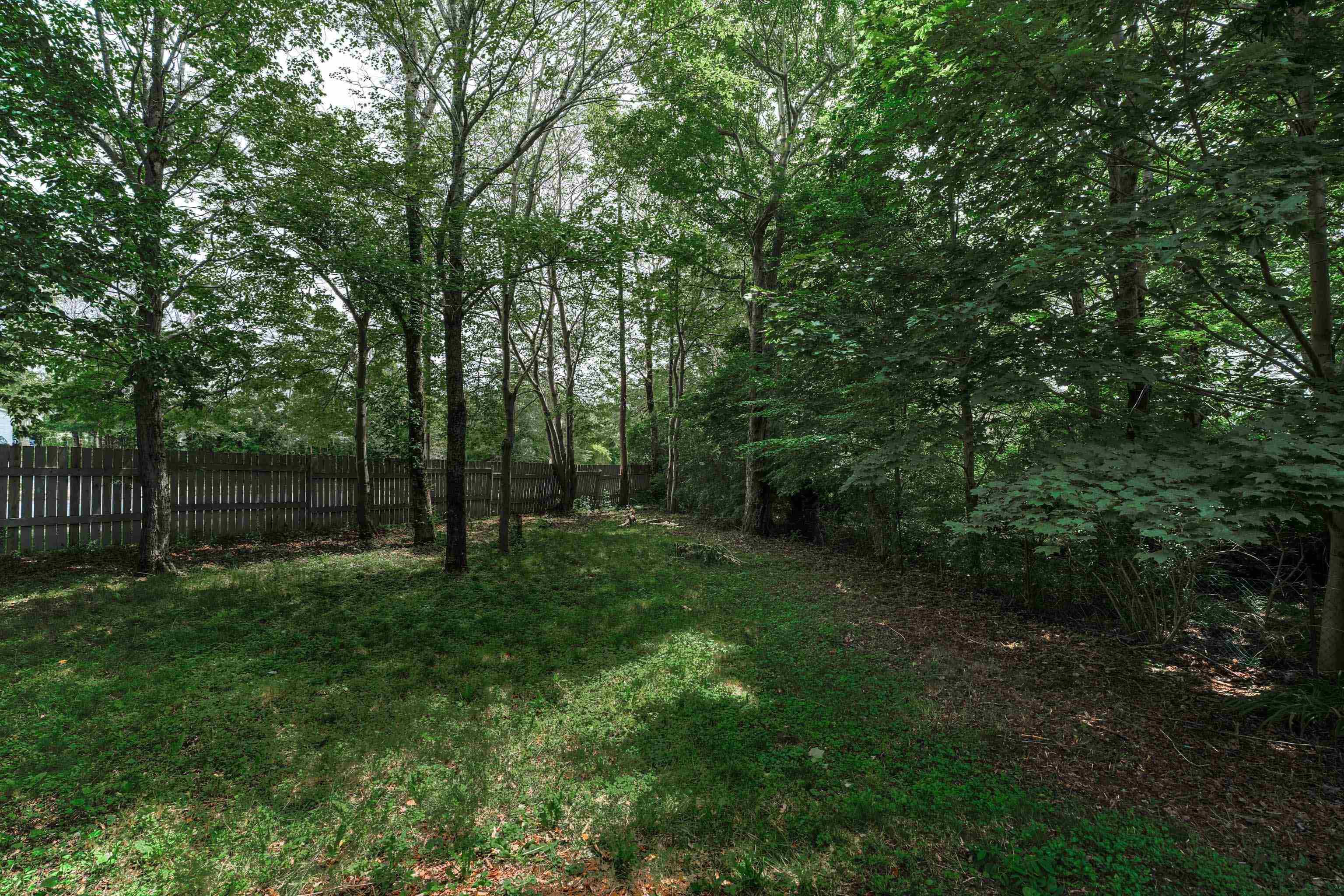 View image 40