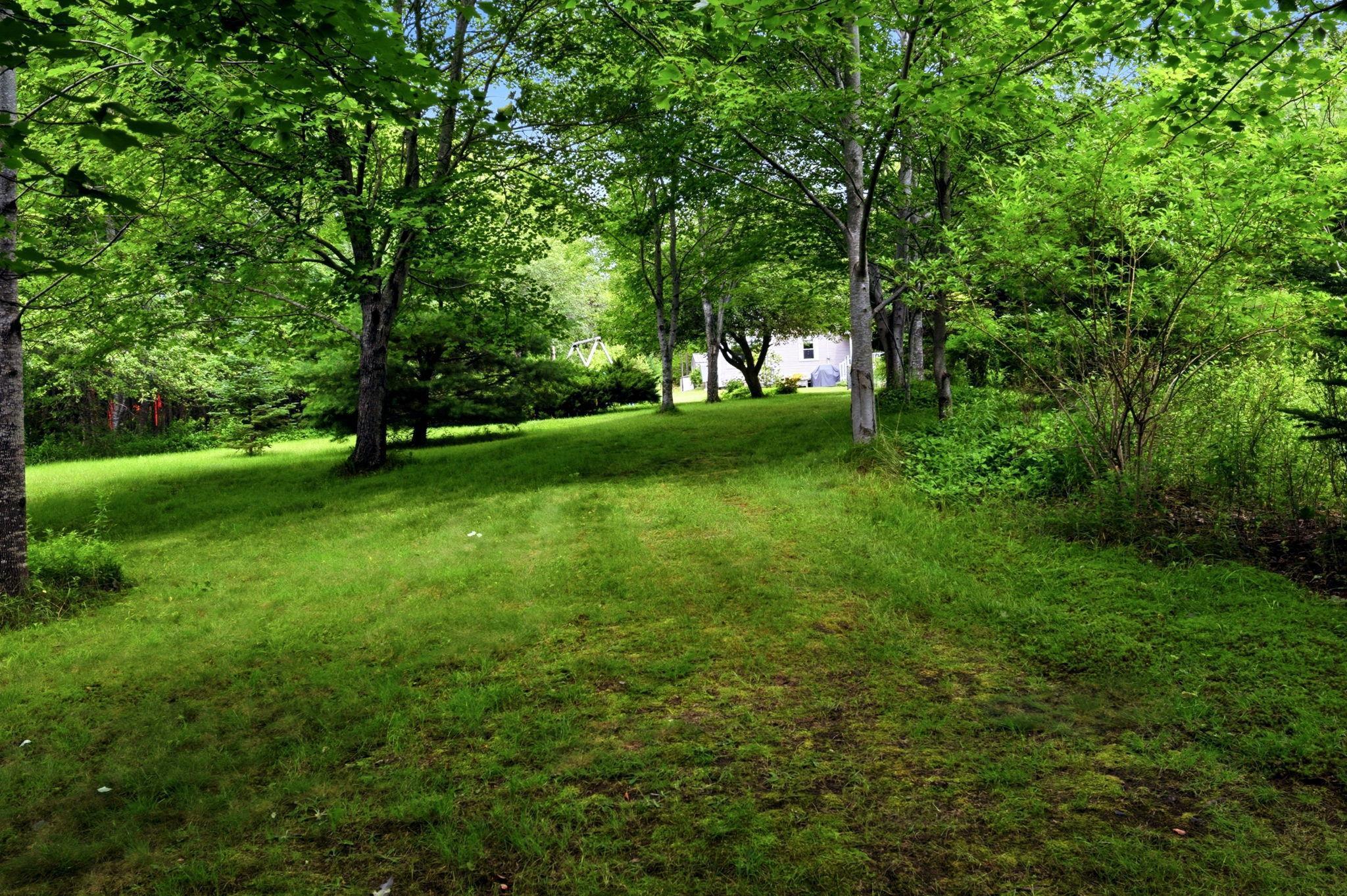 View image 5