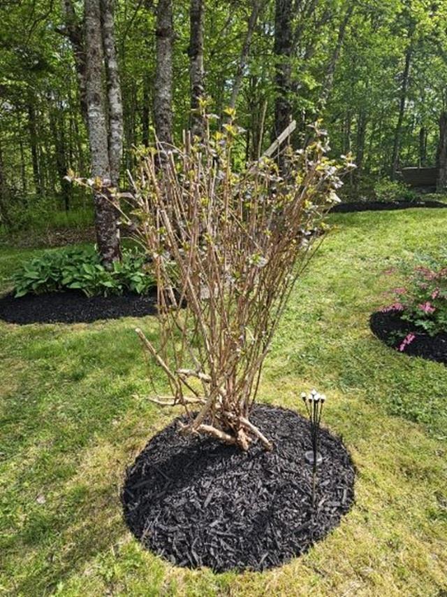 View image 26