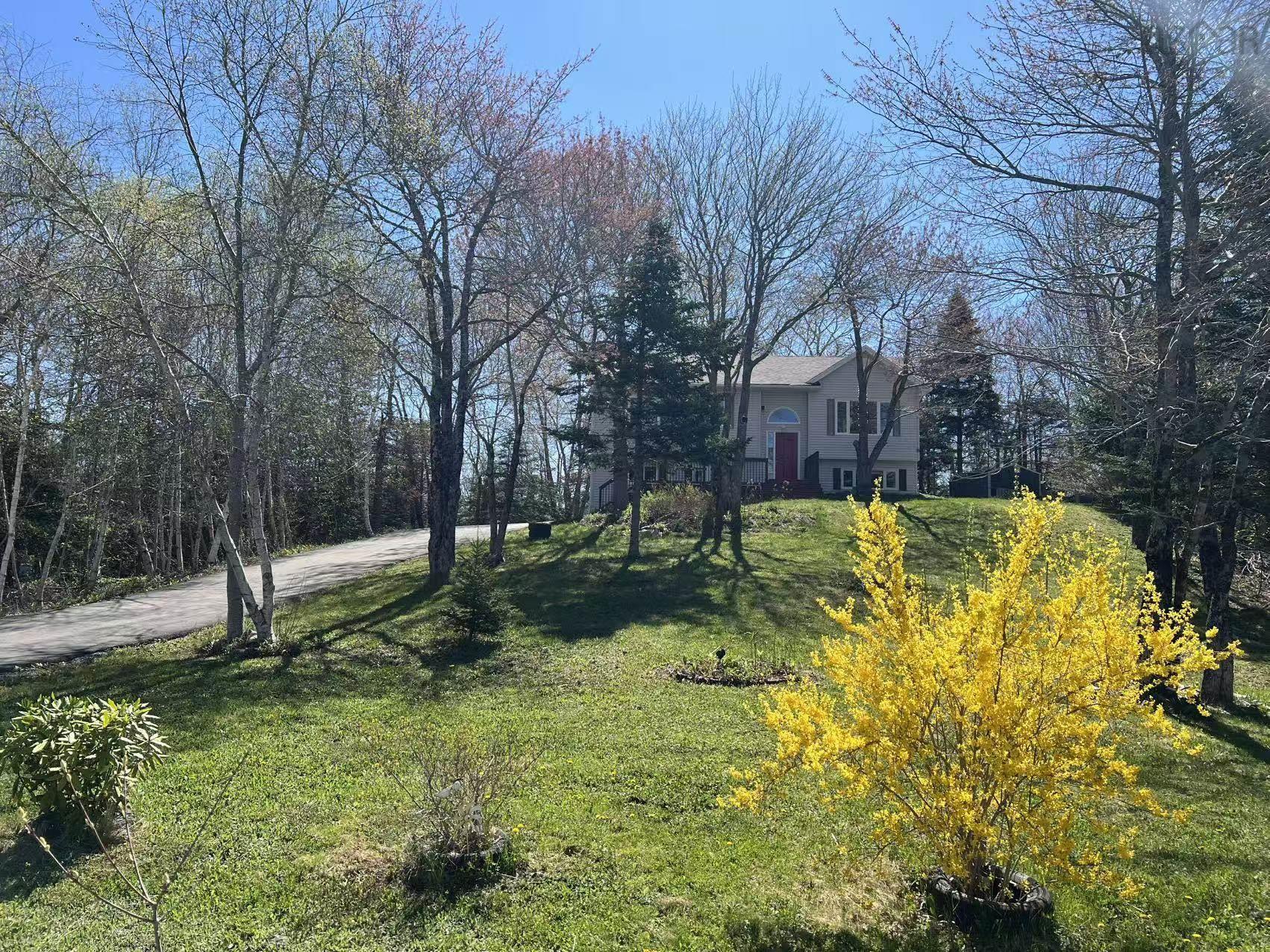 View image 2