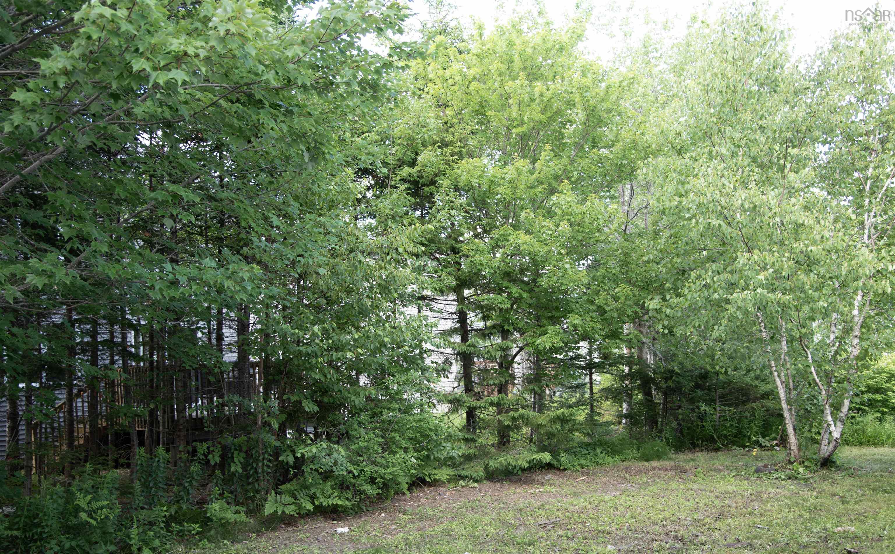 View image 6