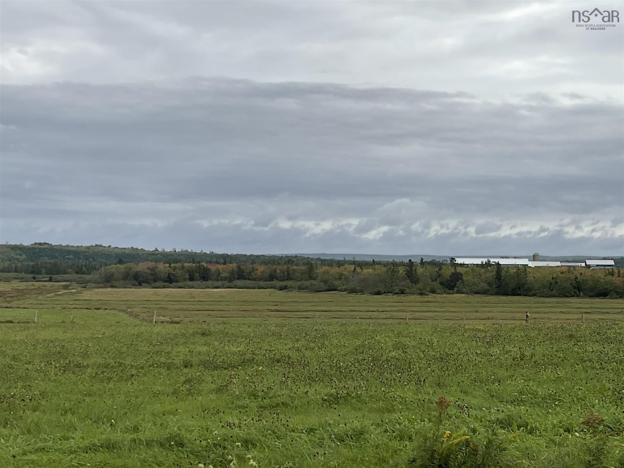 View image 15