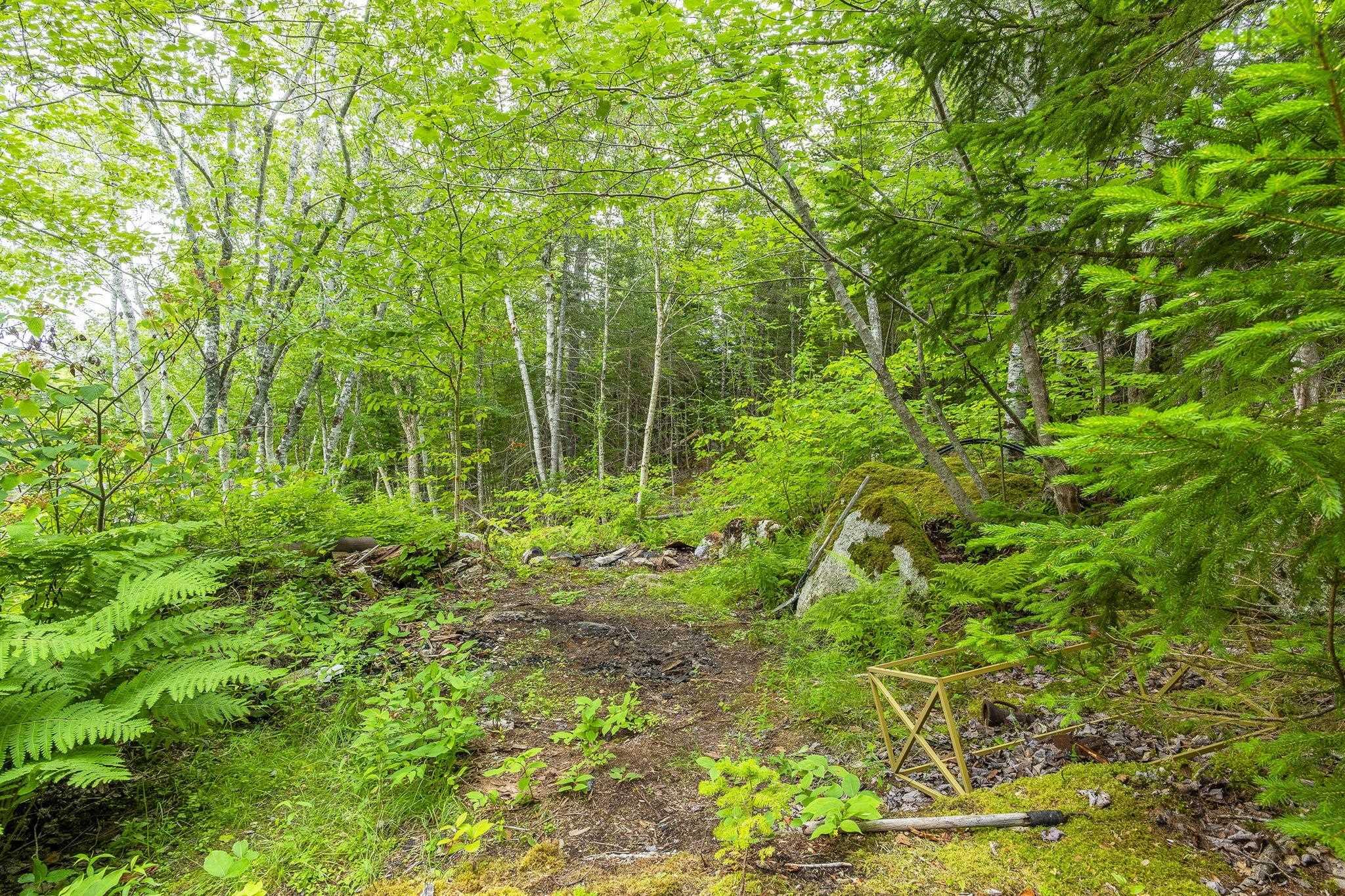 View image 19