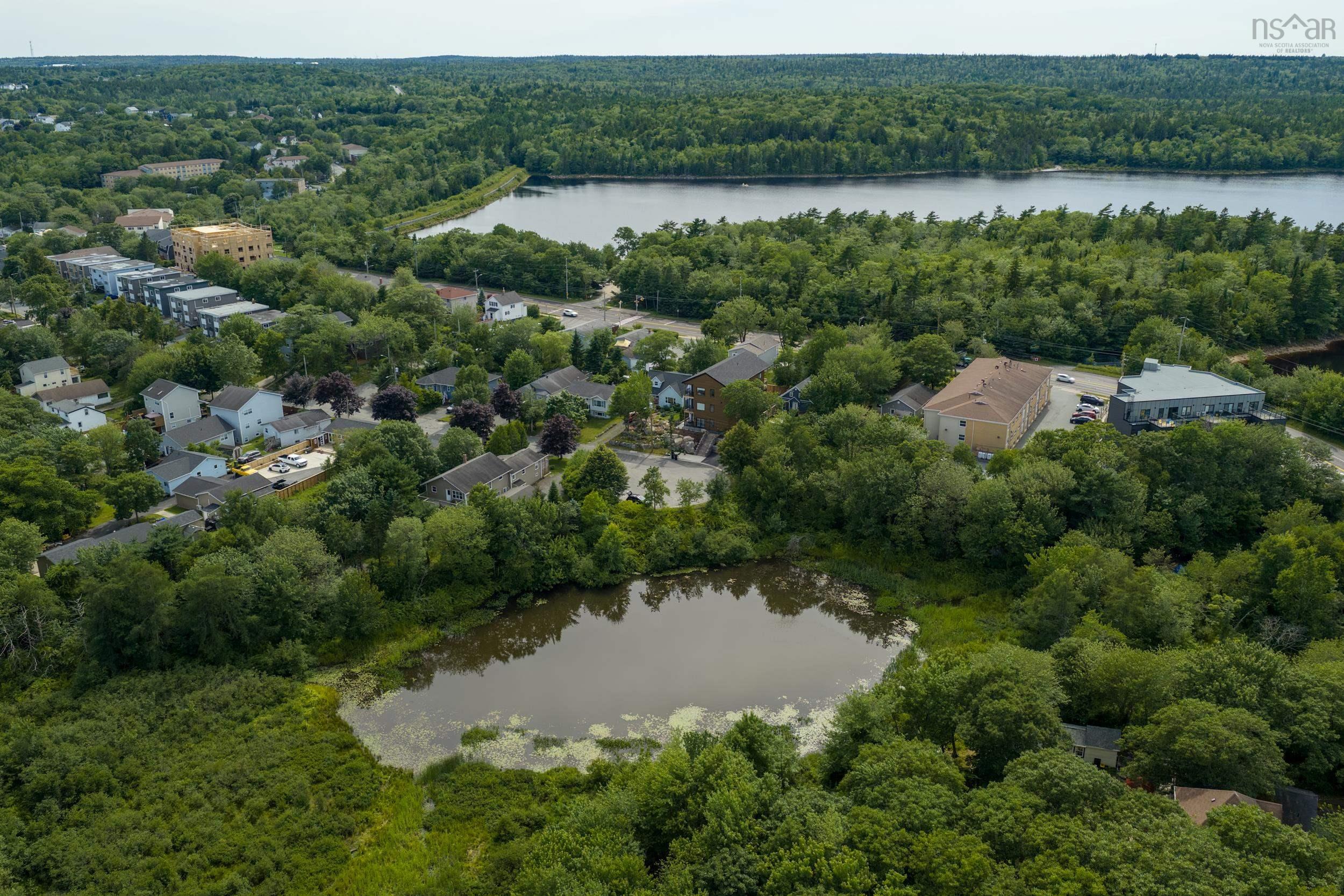 View image 50