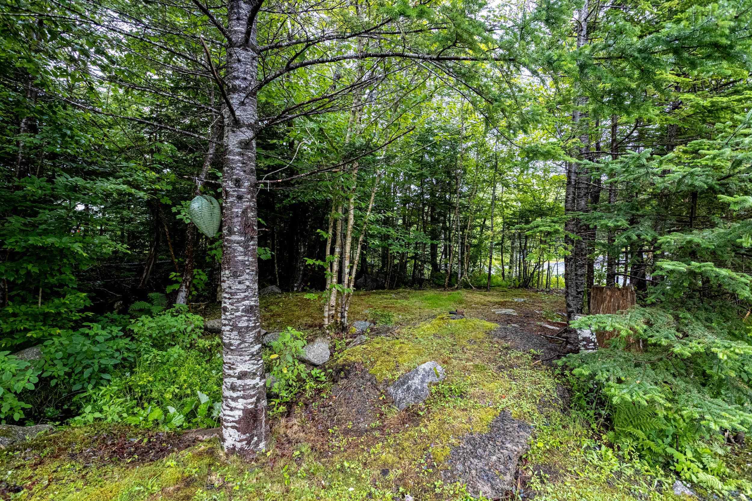 View image 5
