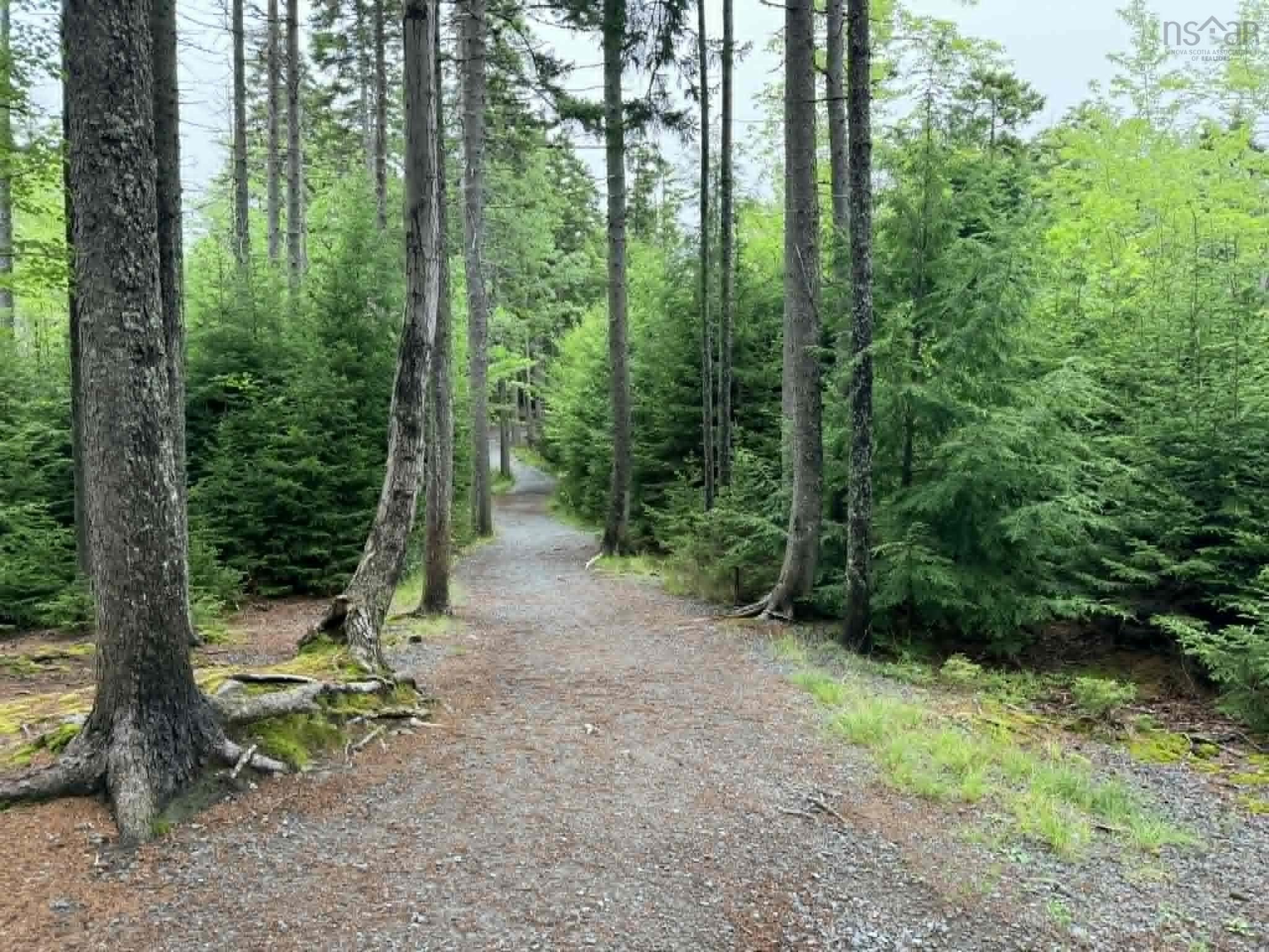 View image 49
