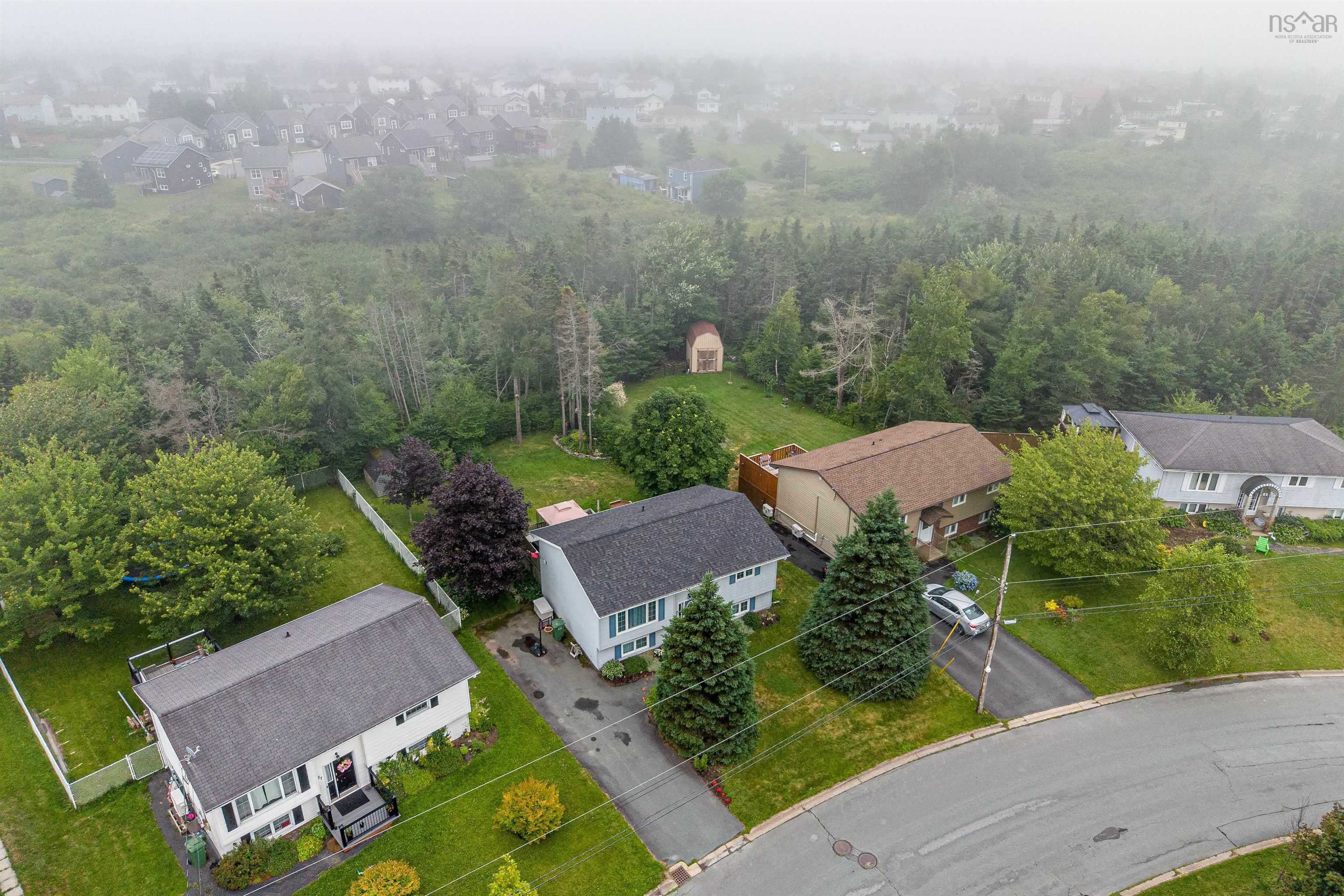 View image 50