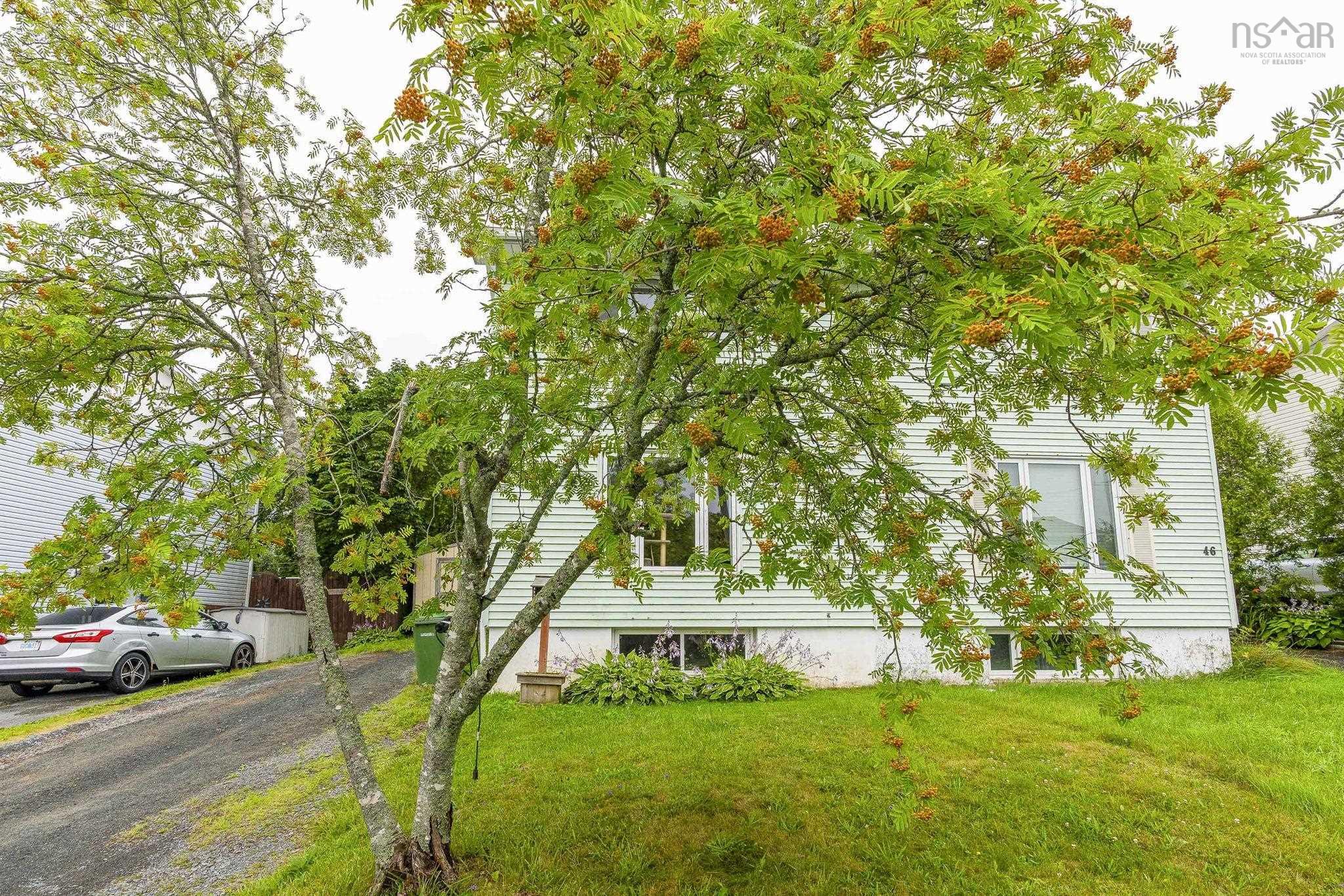 View image 50