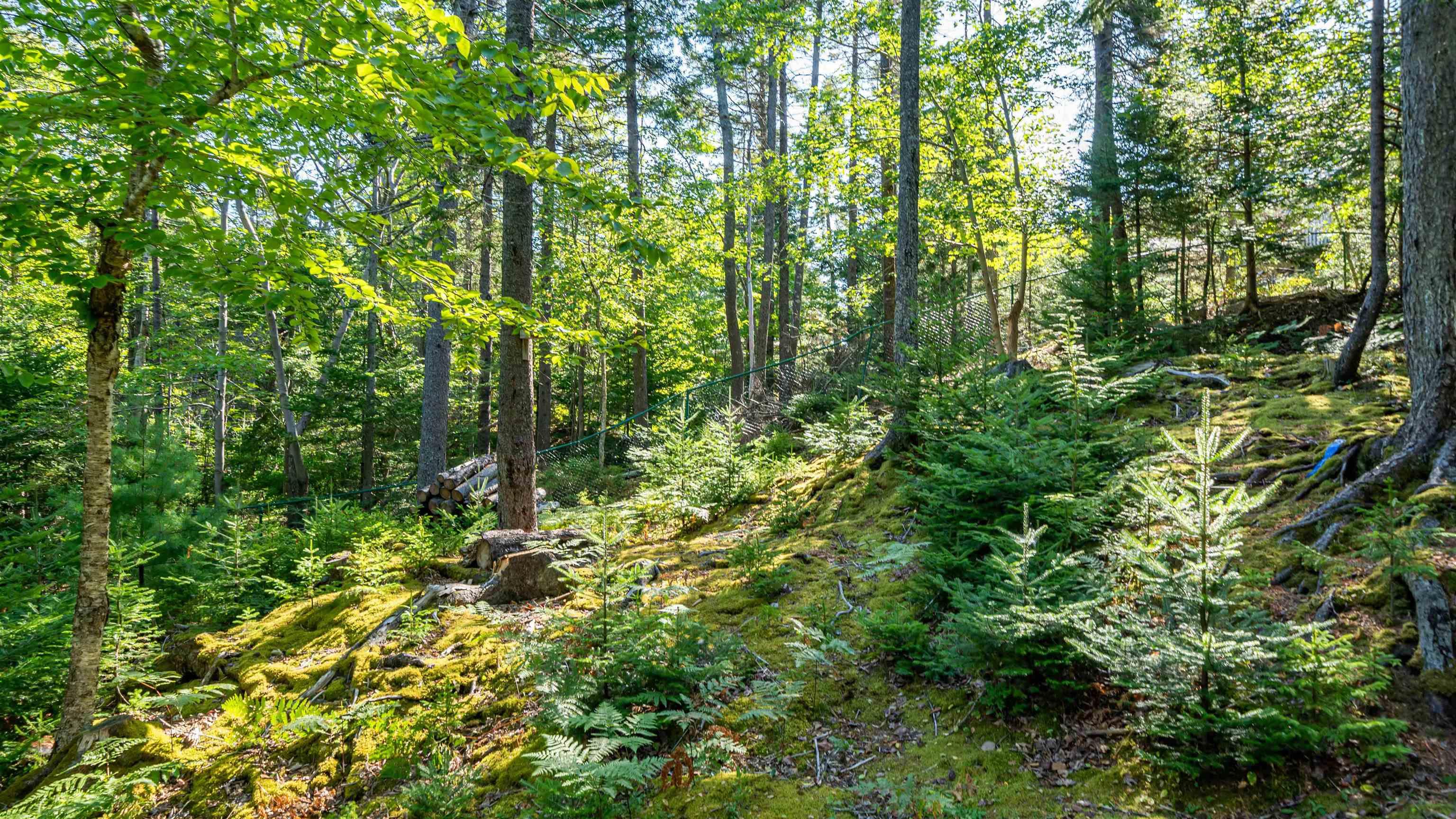 View image 46