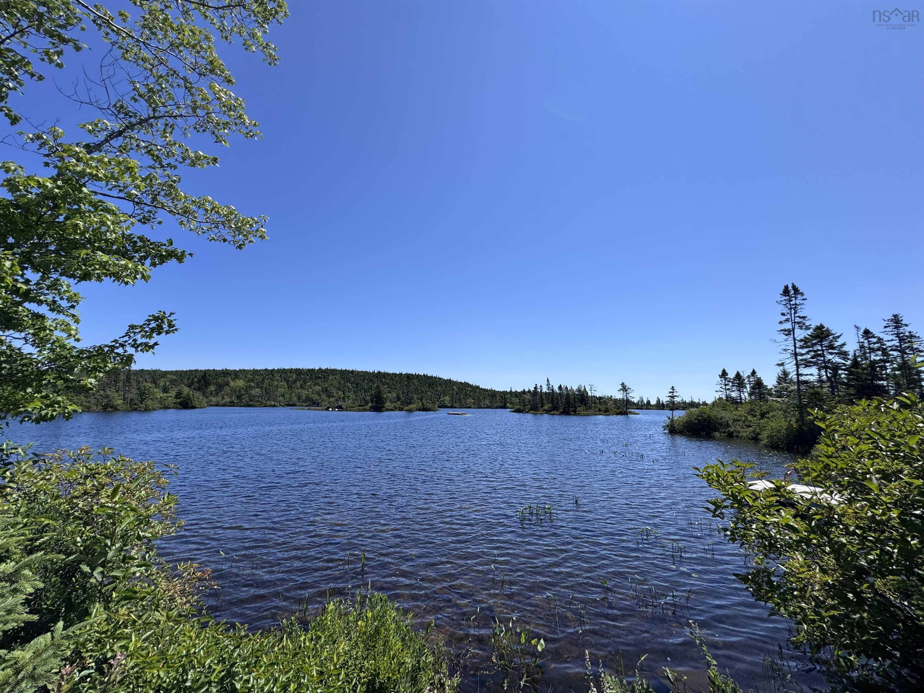 View image 10