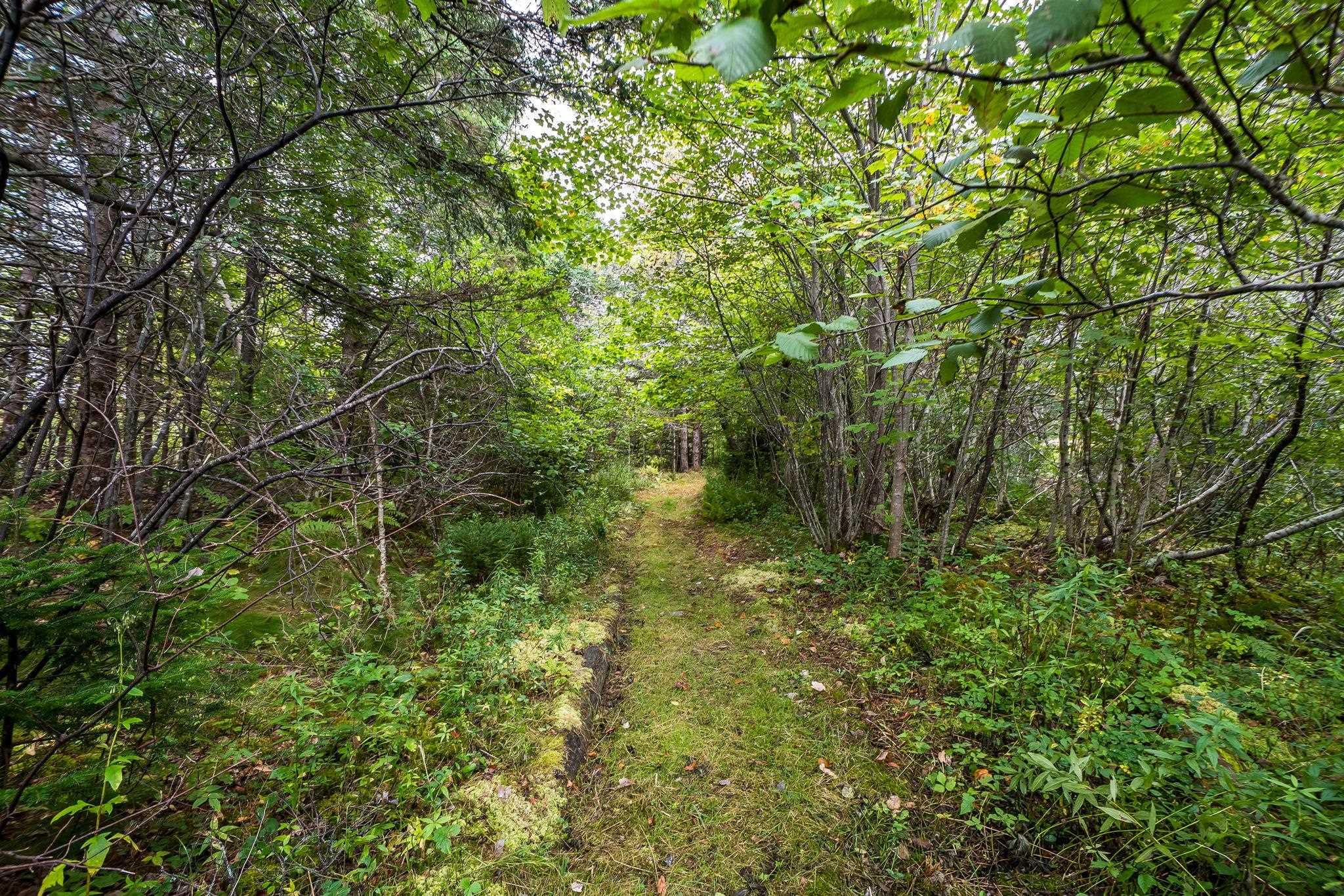 View image 37