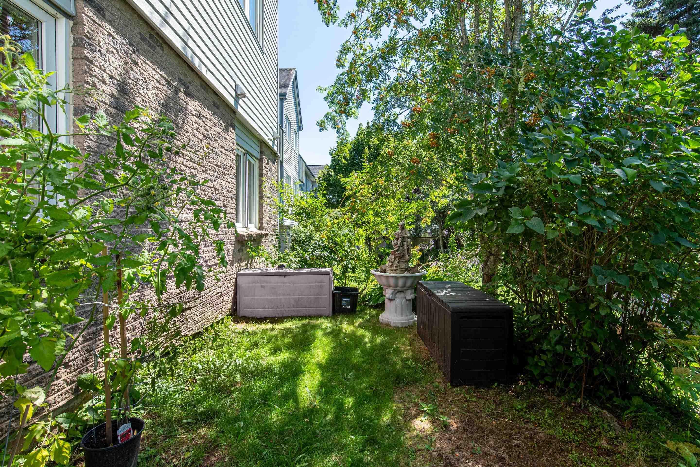 View image 16