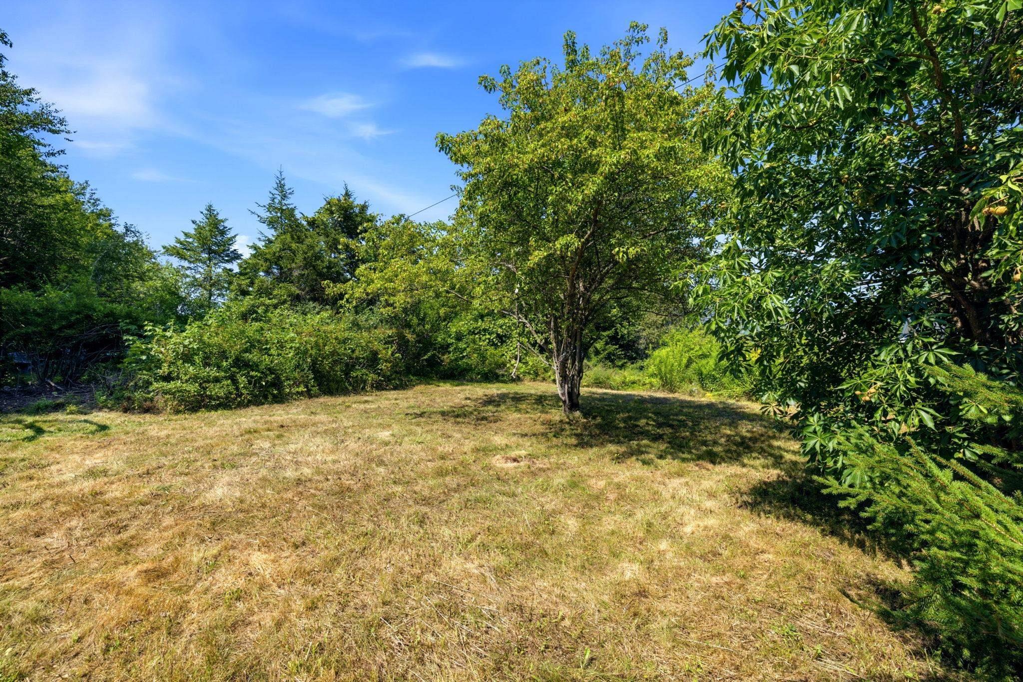 View image 39