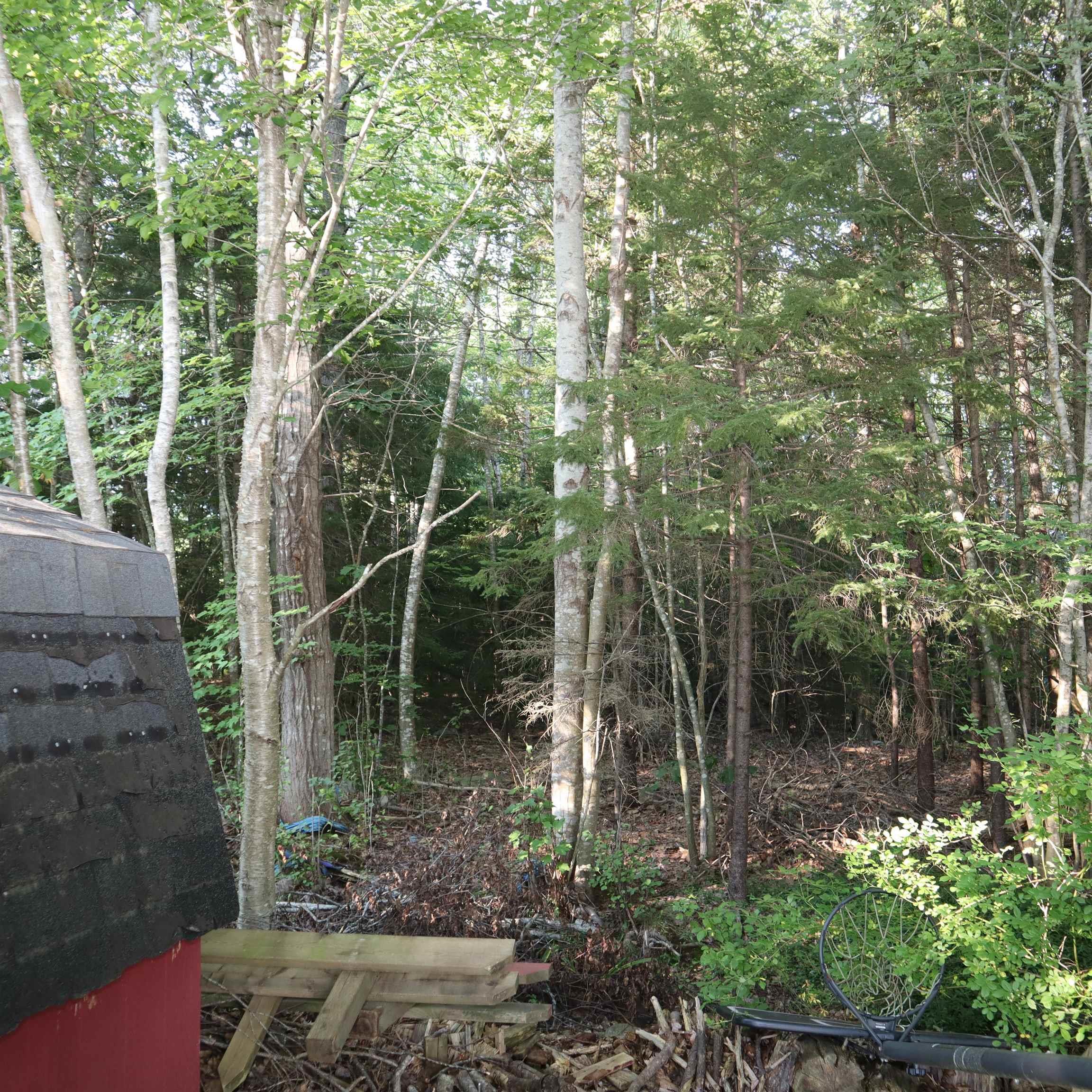 View image 7