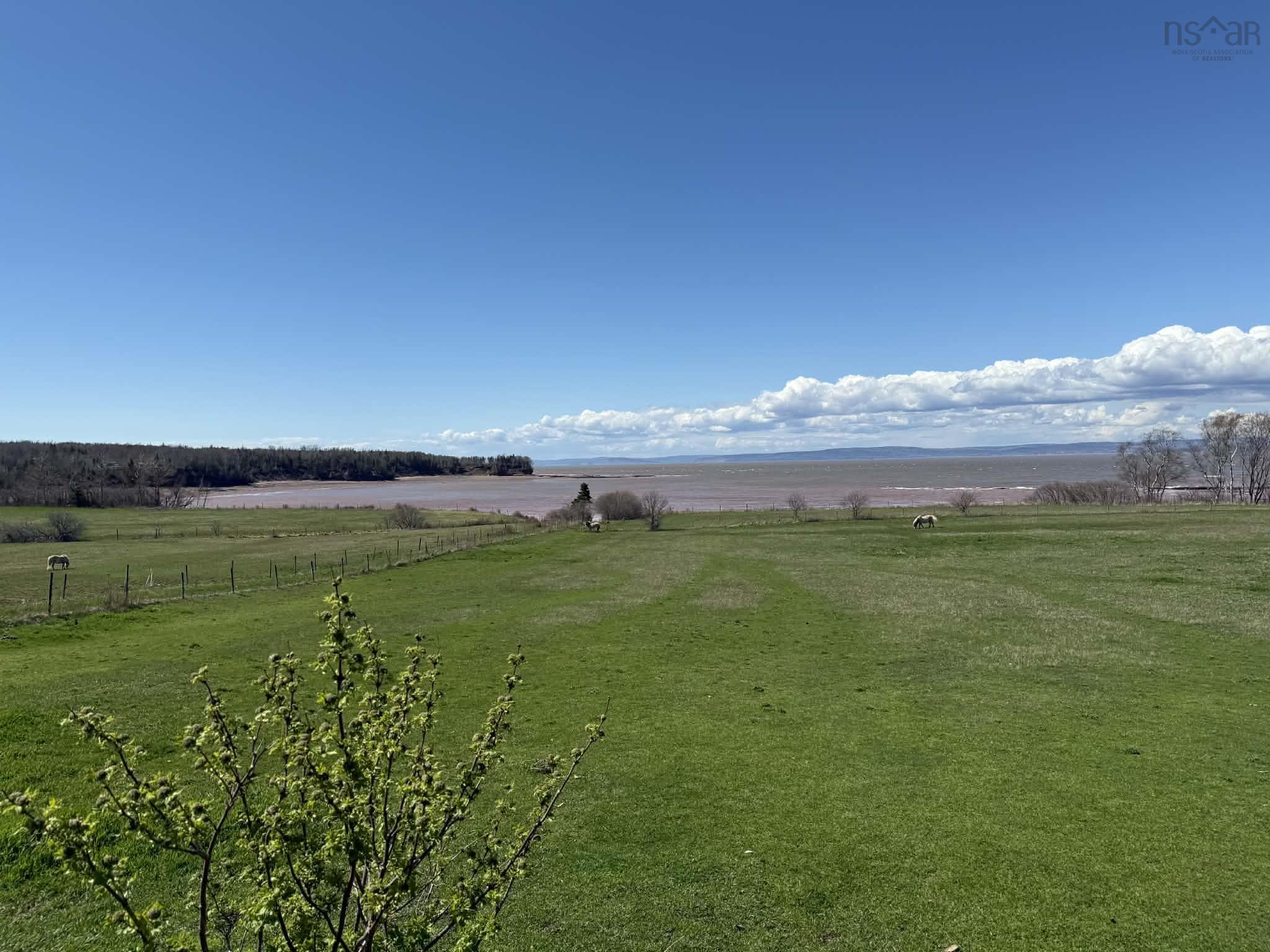 View image 20