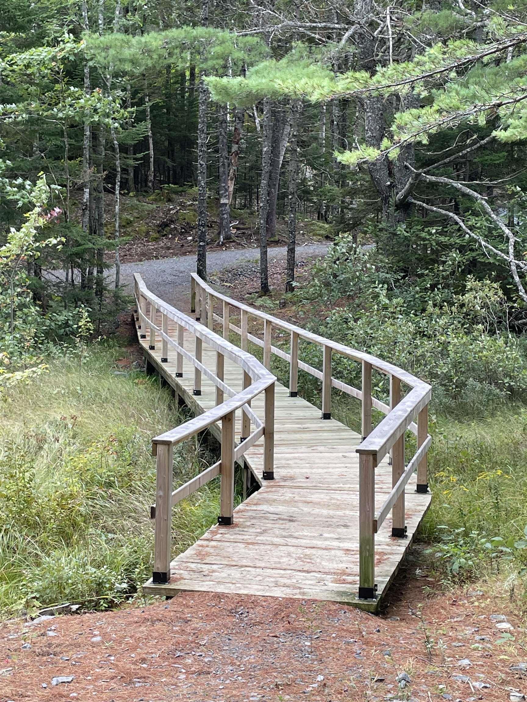 View image 41