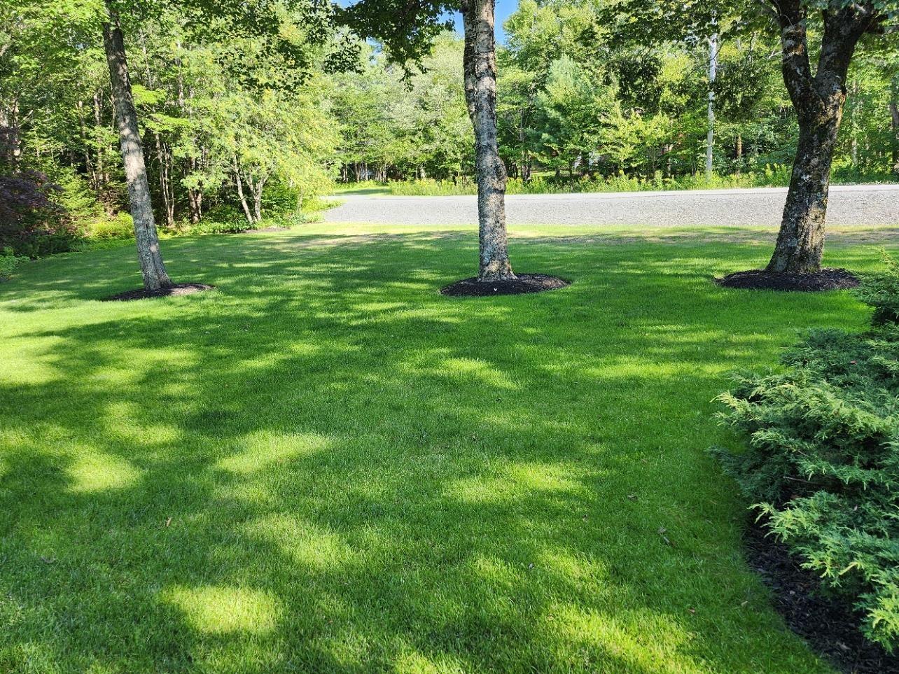 View image 8