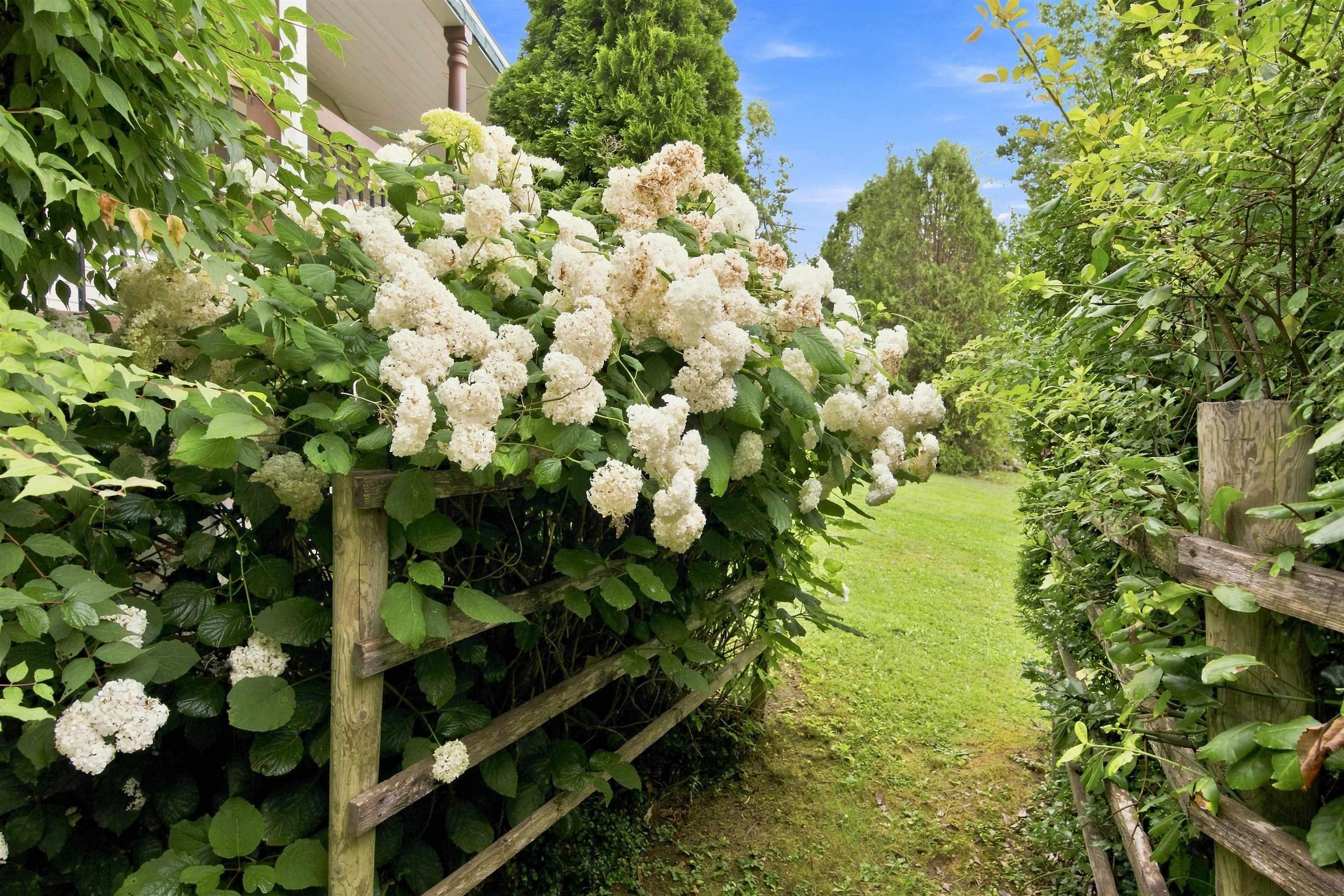 View image 35