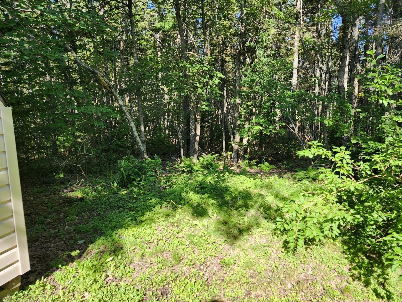 View image 13