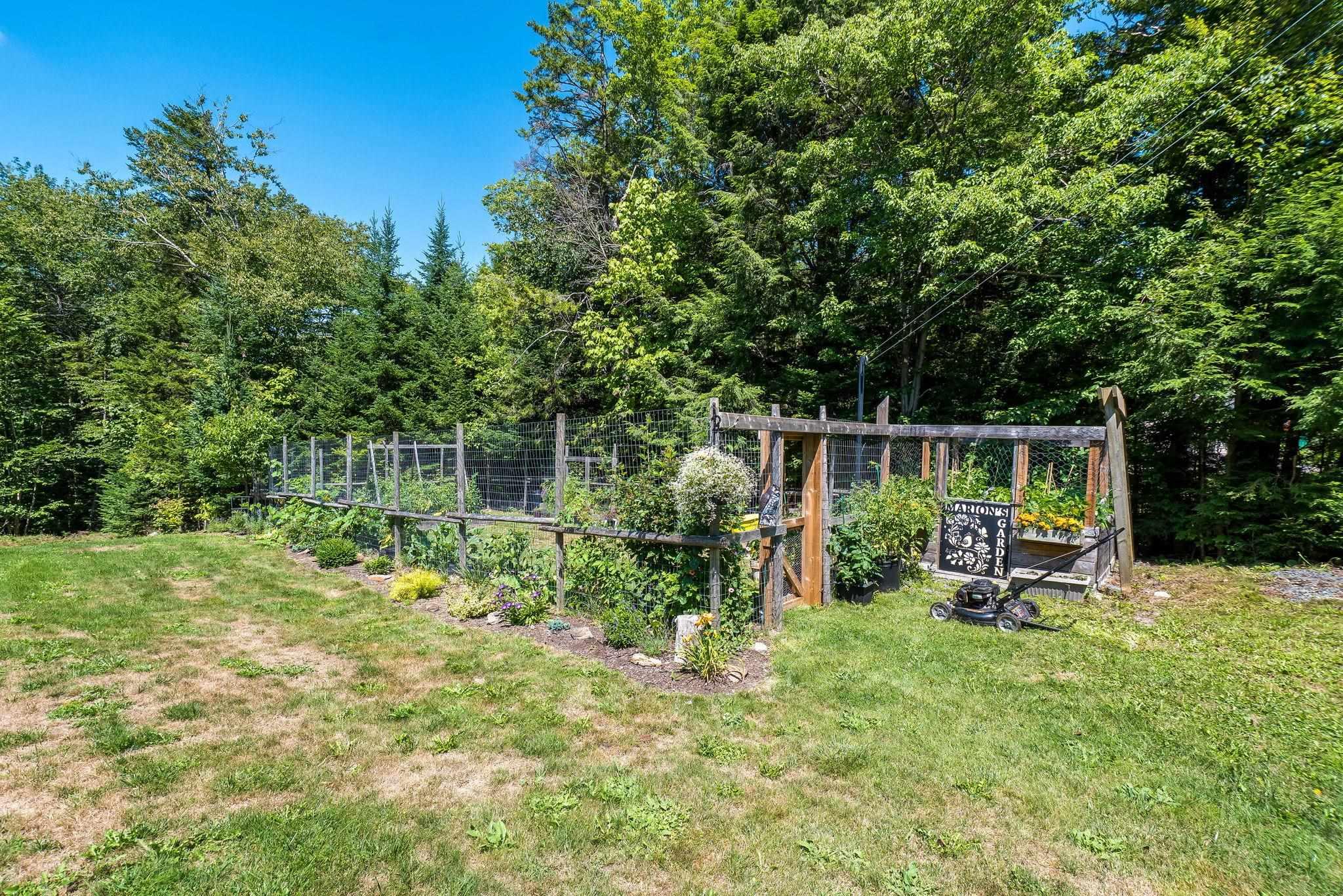 View image 40