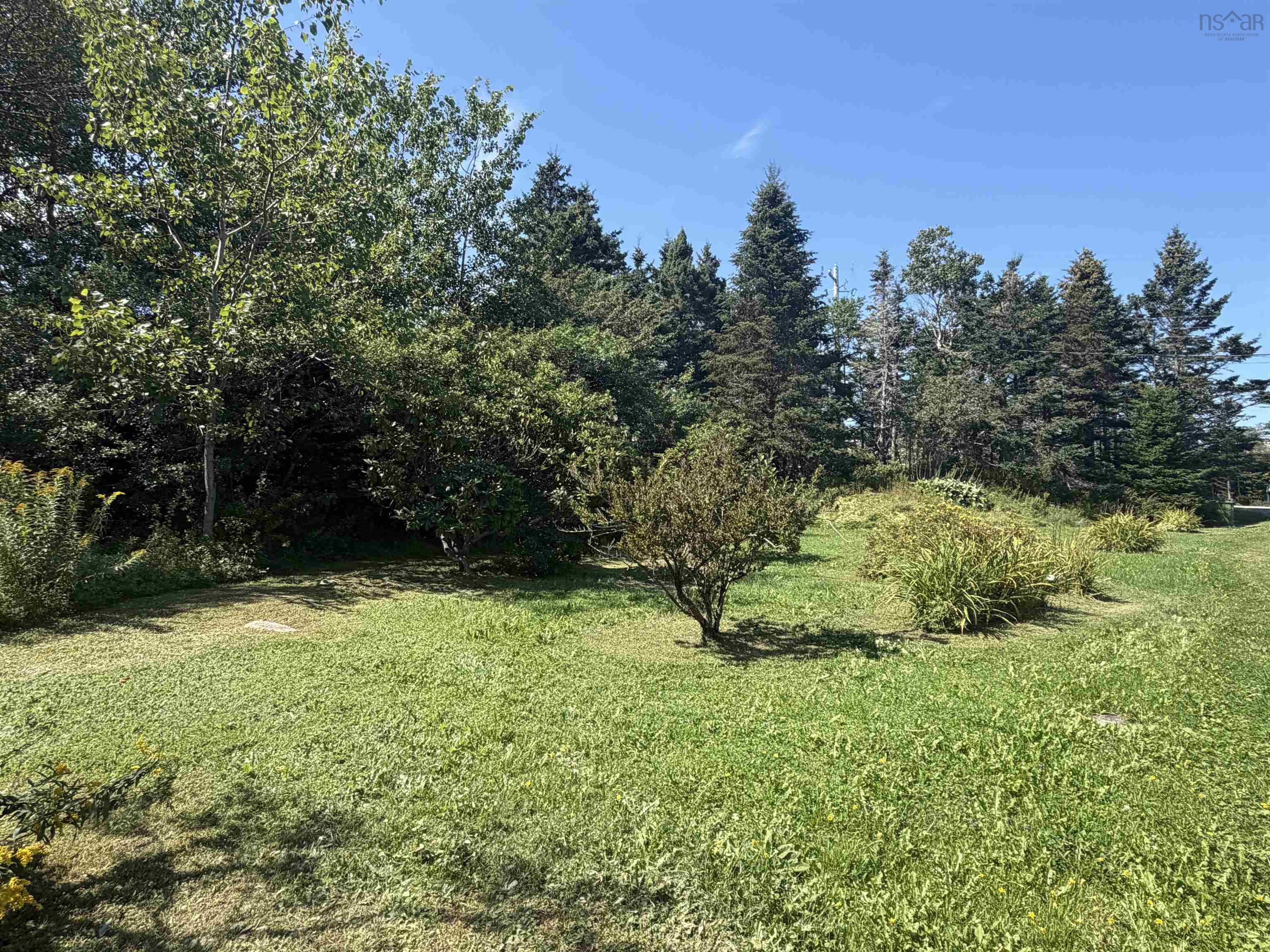 View image 50