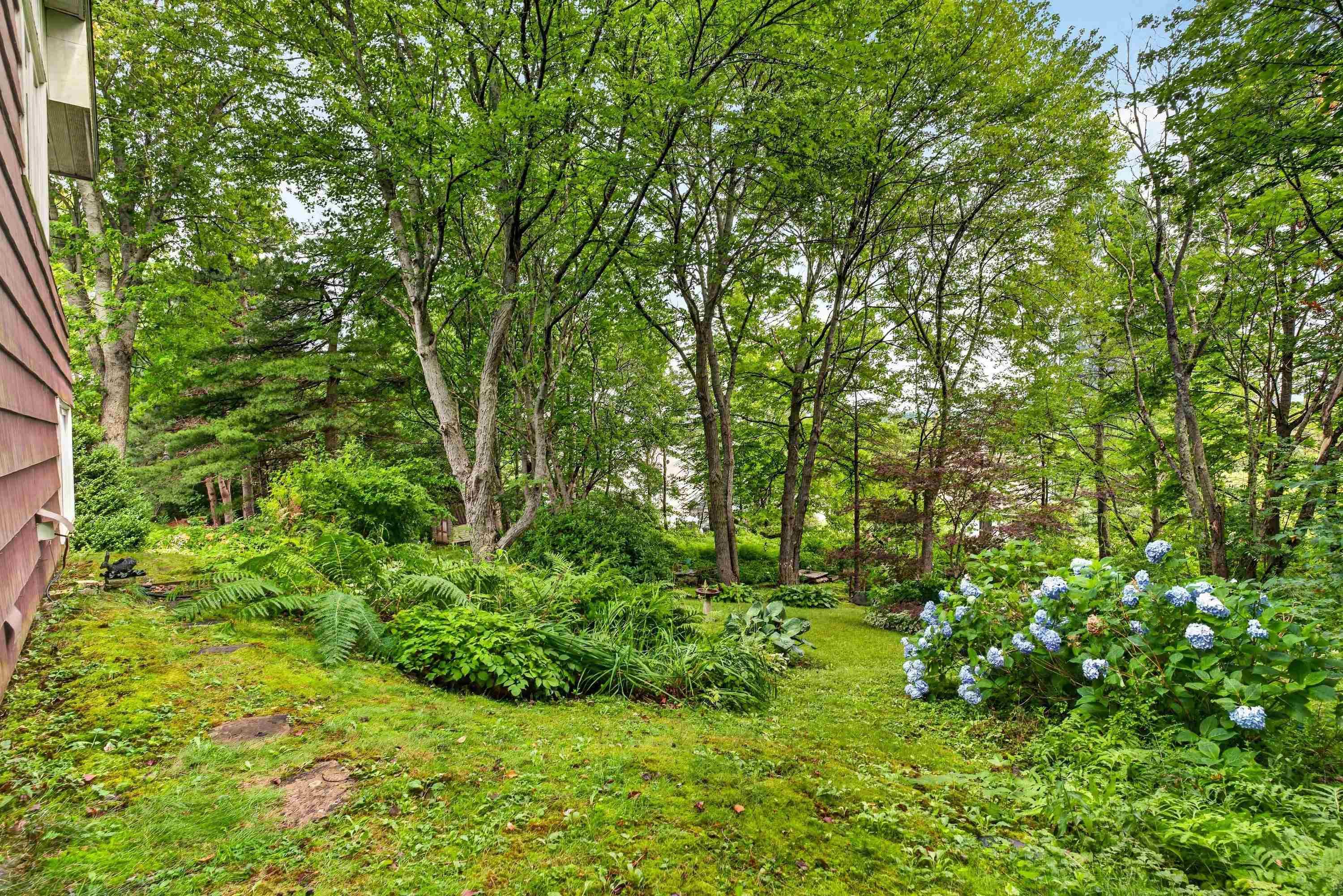 View image 46
