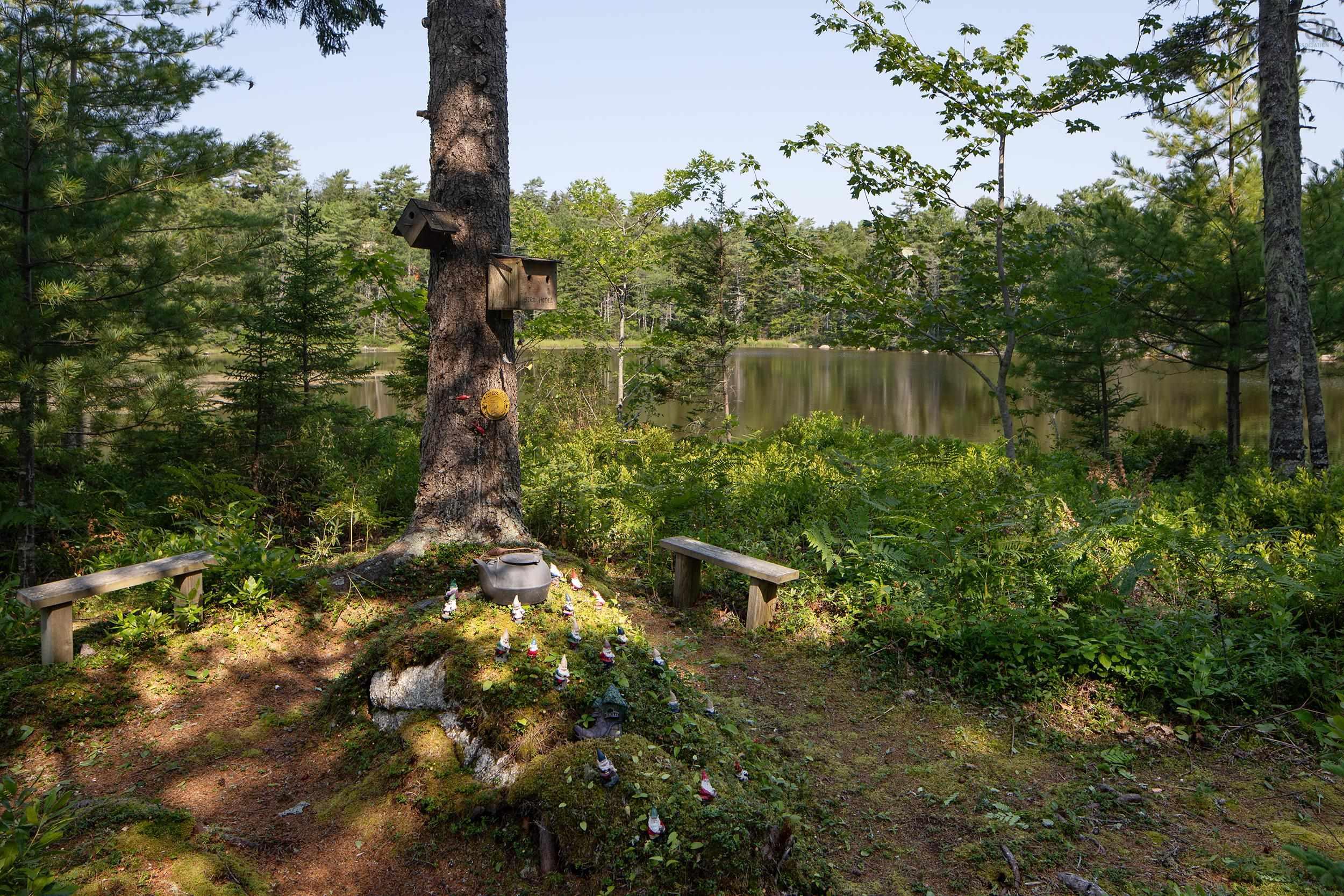 View image 42