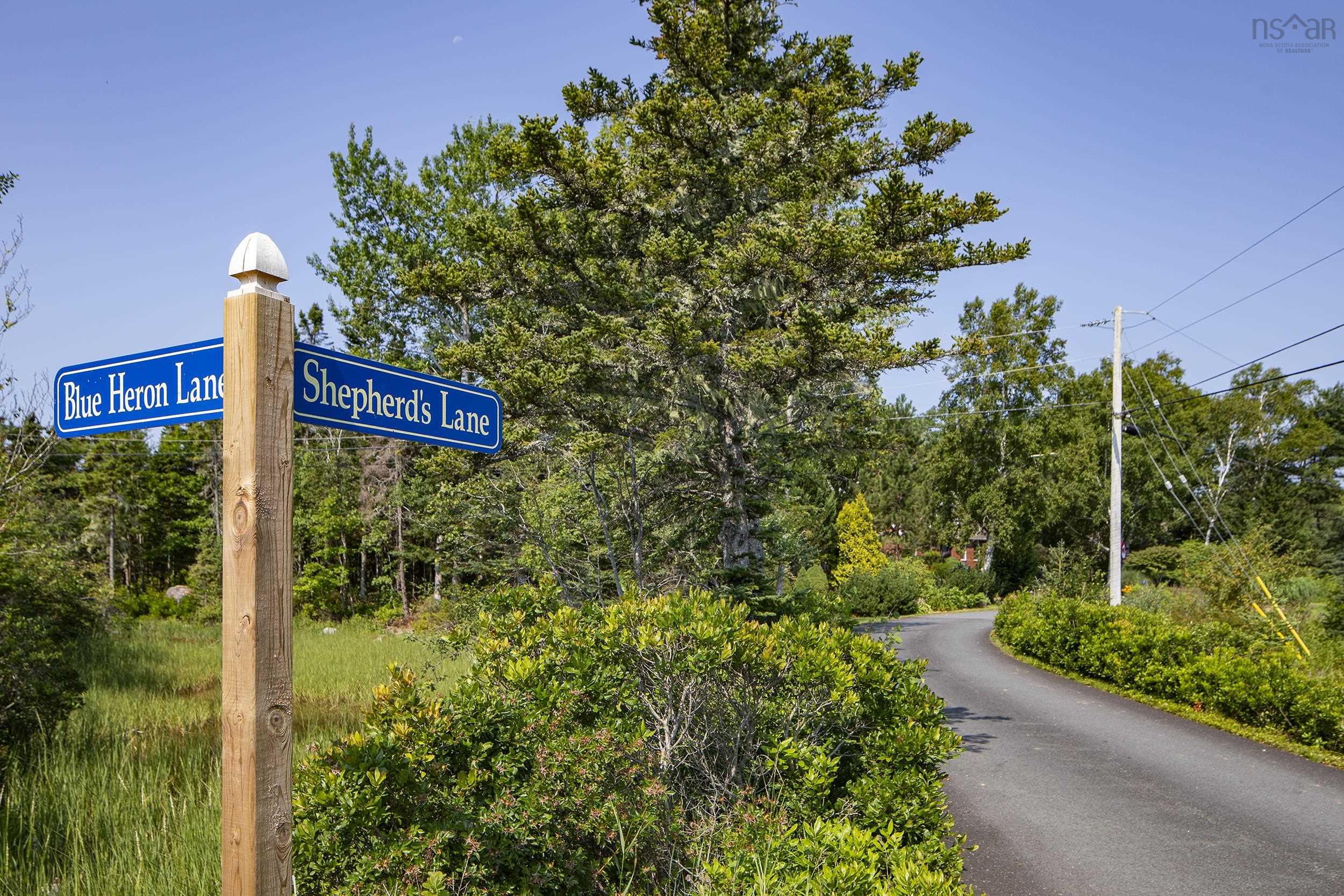 View image 50