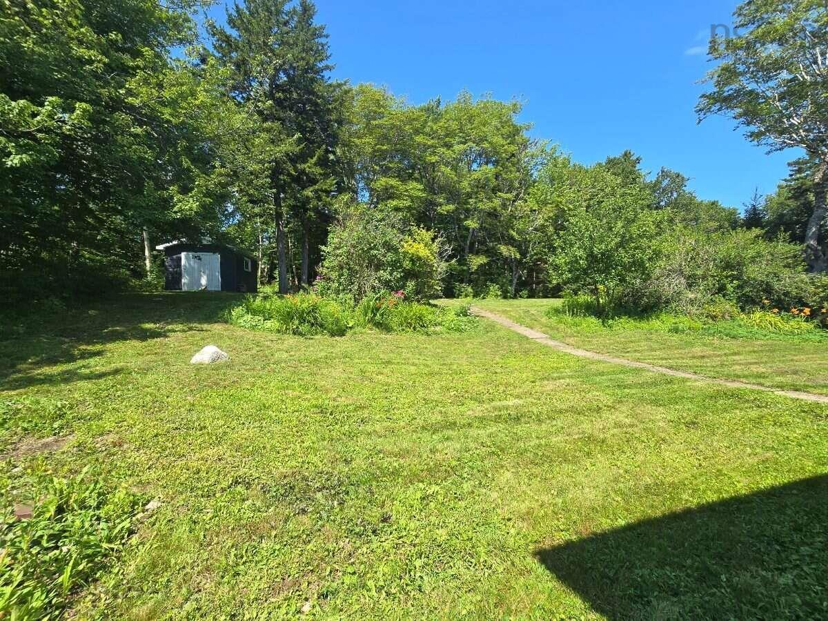 View image 41