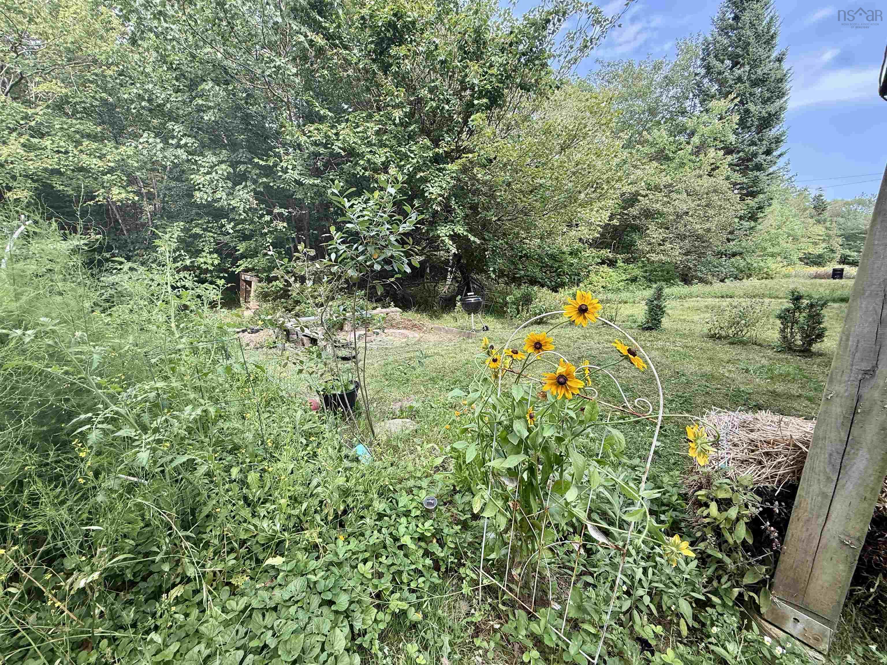 View image 39