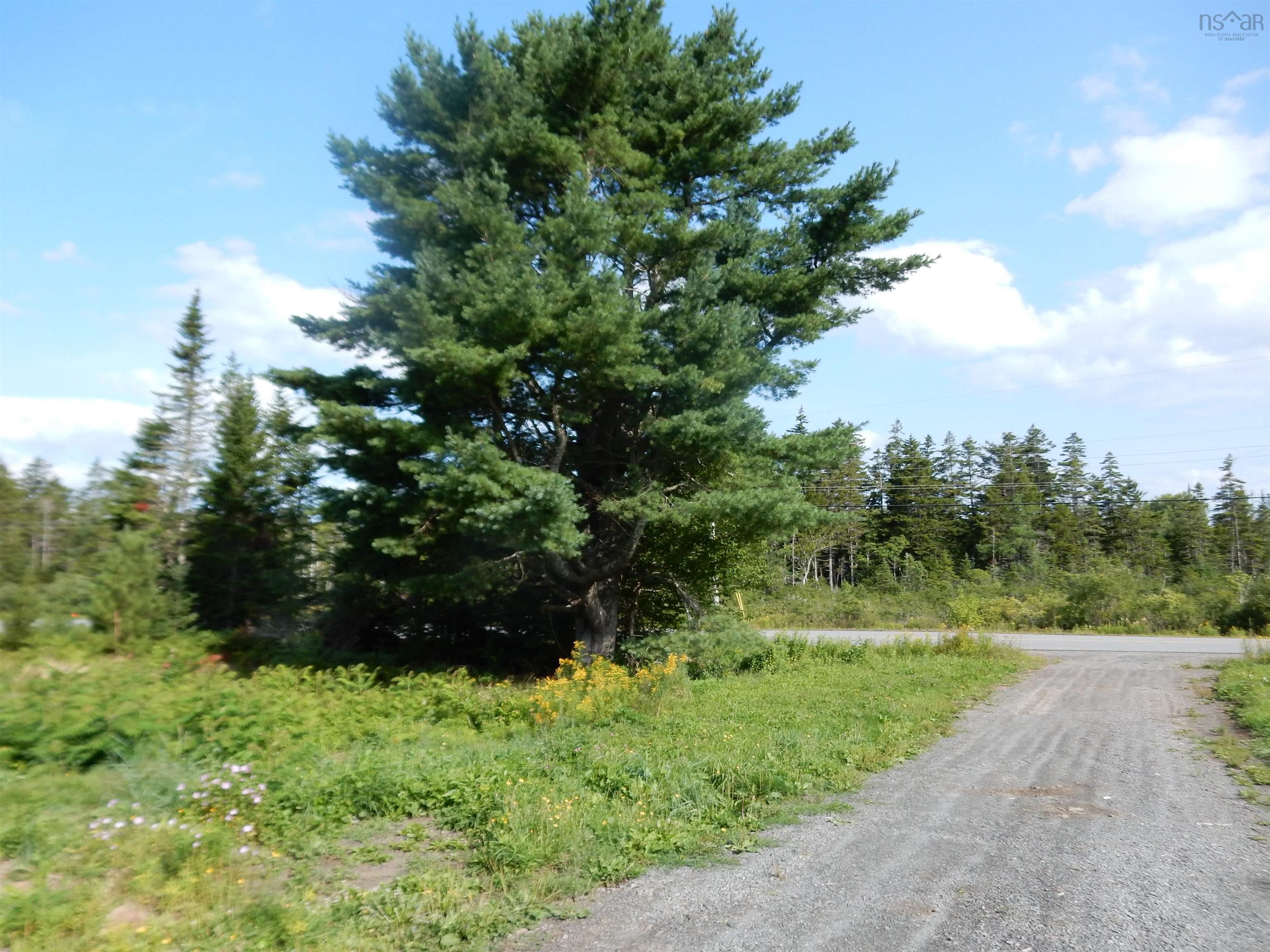 View image 11