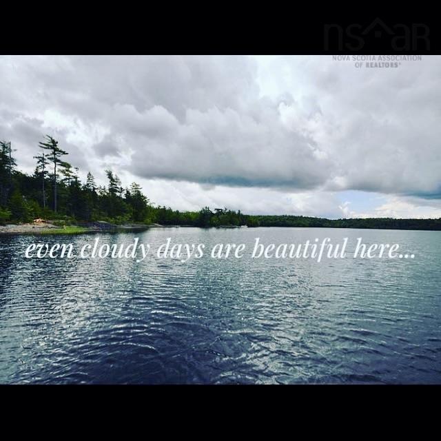 View image 12