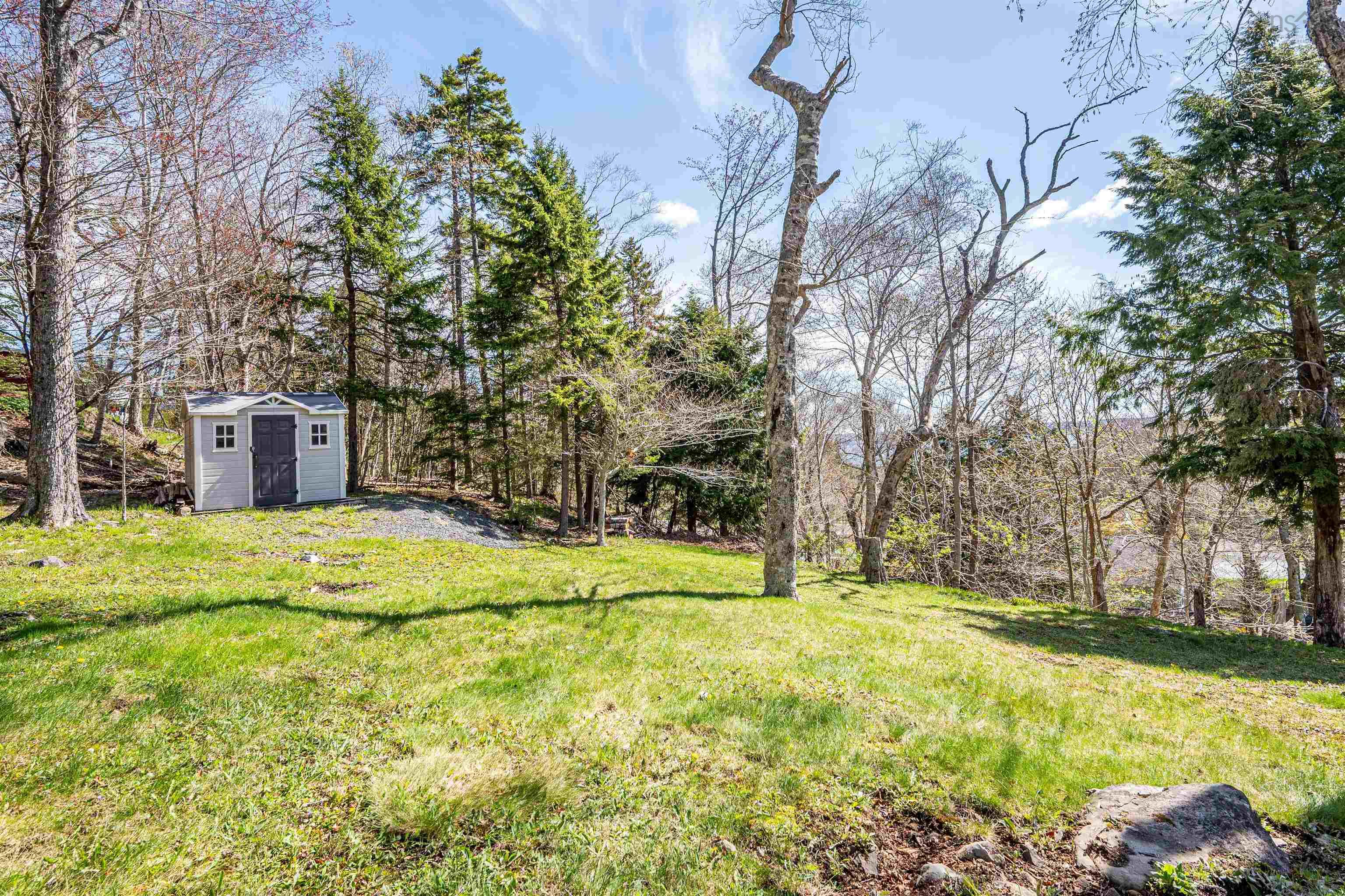 View image 41