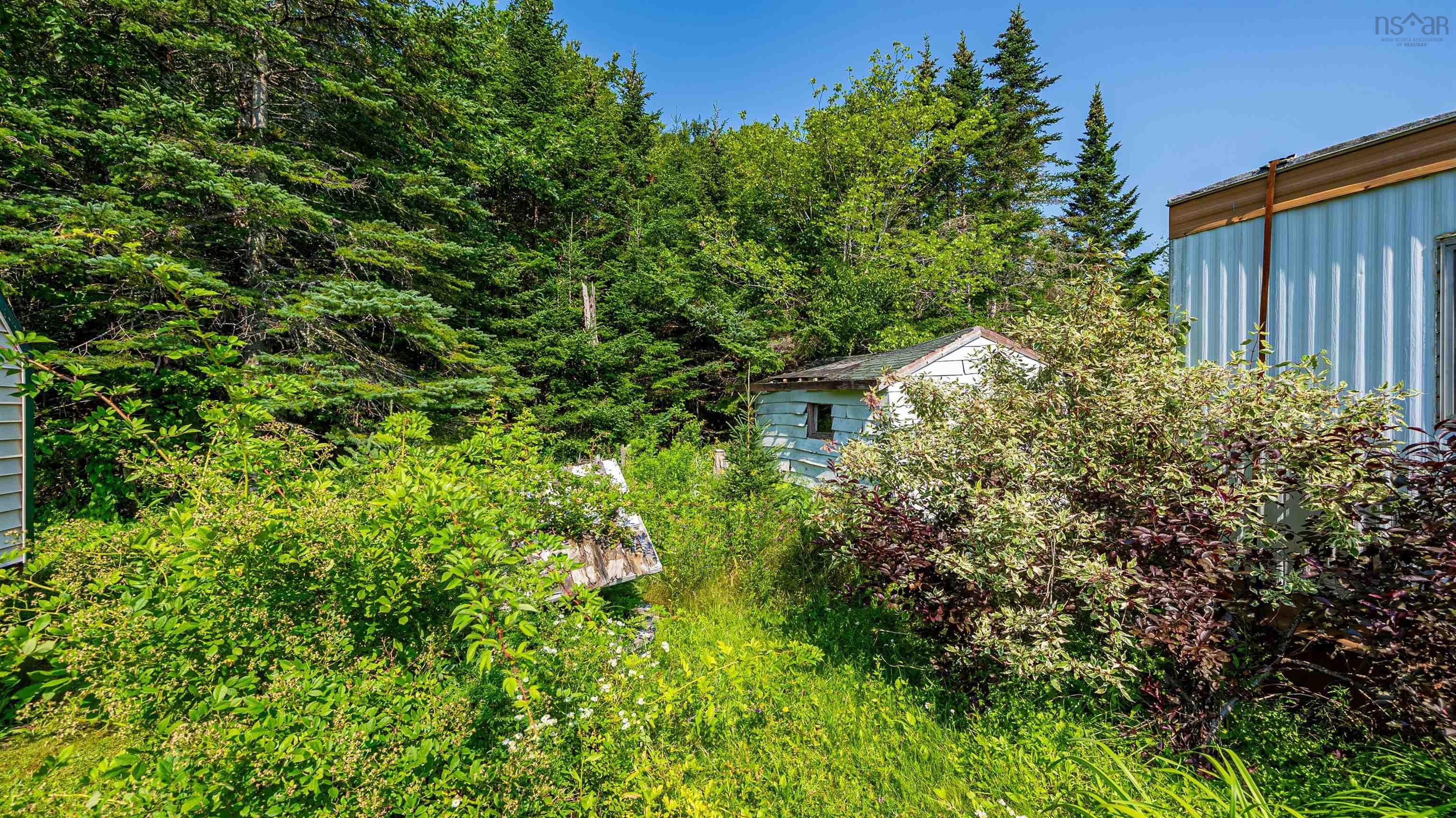 View image 19