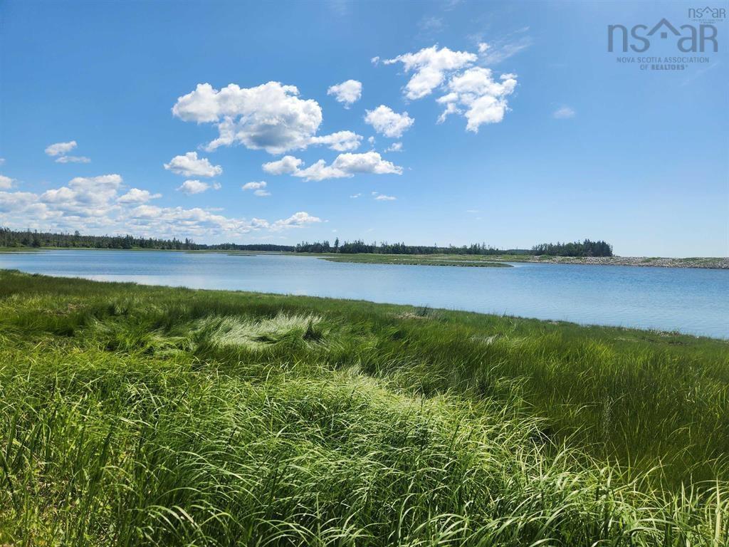 View image 12