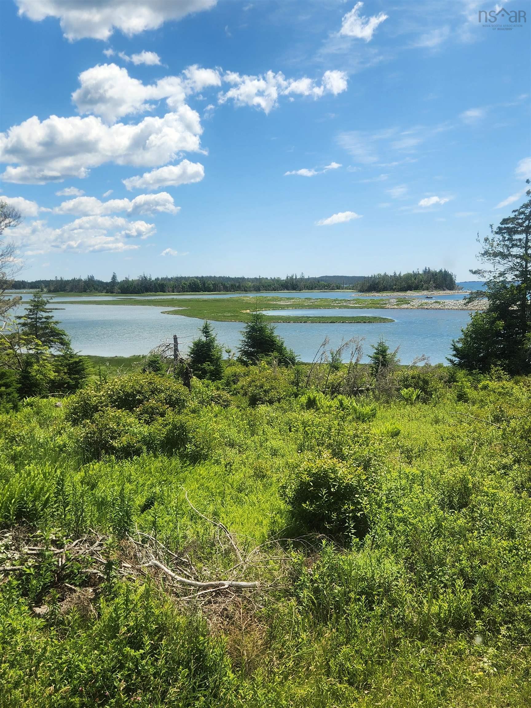 View image 12