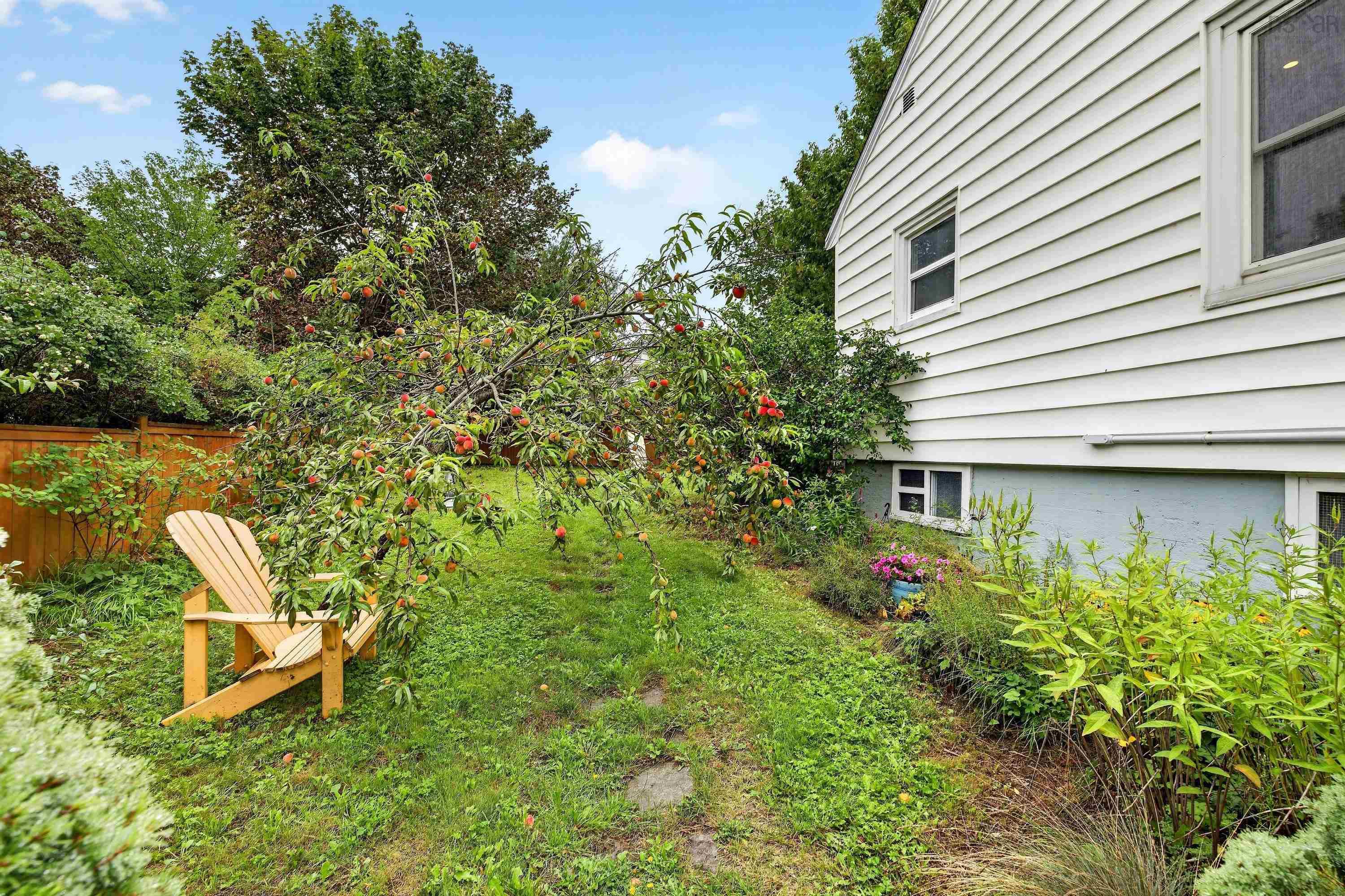 View image 44